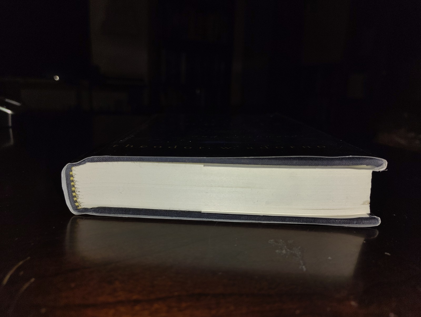 Critical Models: Interventions And Catchwords By Theodor W. Adorno ~ 1998 1st Ed