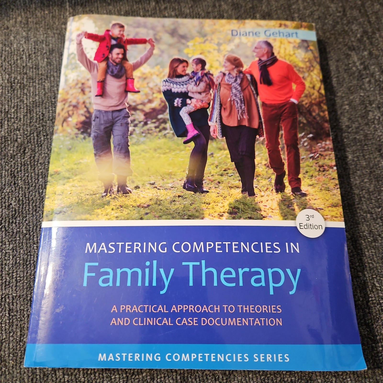 Mastering Competencies in Family Therapy: A Practical Approach to Theory