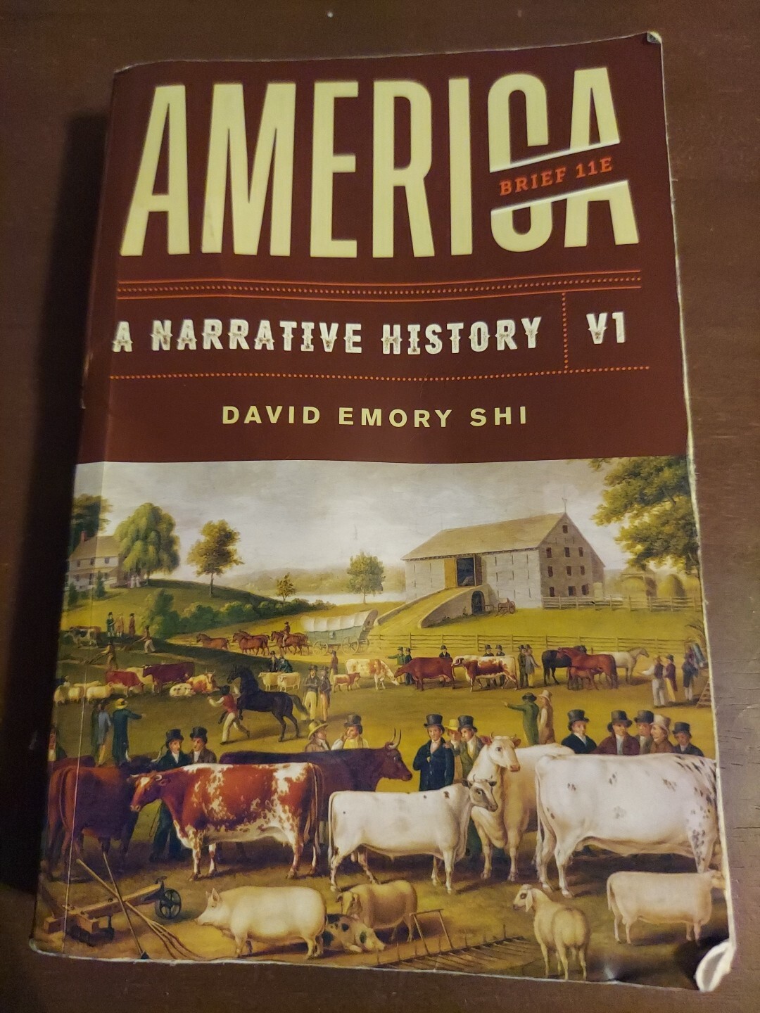 America A Narrative History Brief Edition by David Shi Volume 1
