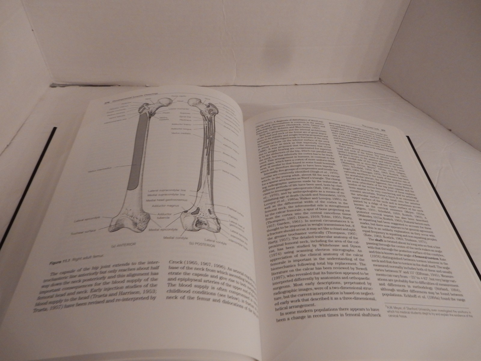 DEVELOPMENTAL JUVENILE OSTEOLOGY; Scheuer & Black; 2000 Academic Press 1st Ed HC