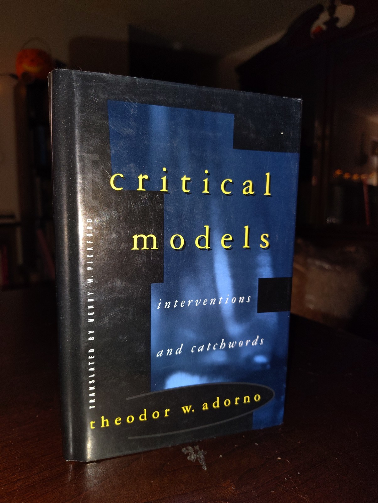 Critical Models: Interventions And Catchwords By Theodor W. Adorno ~ 1998 1st Ed