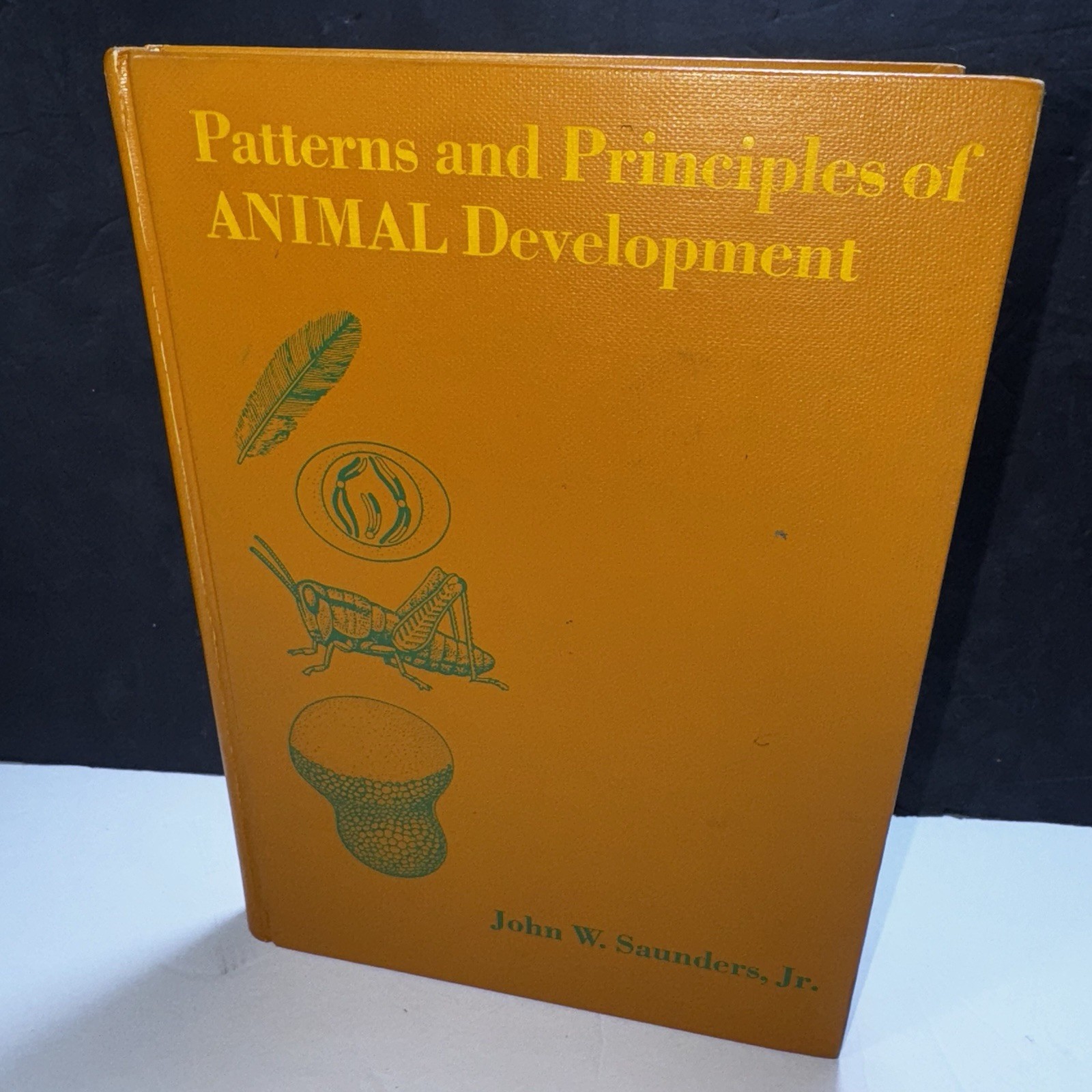 Vtg Patterns & Principles Animal Development 1970 Biology Textbook HC Medical