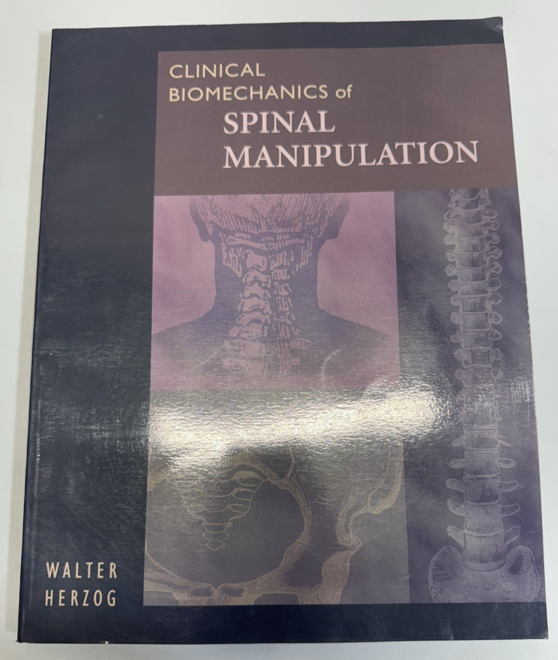 Clinical Biomechanics of Spinal Manipulation Herzog Chiropractic Therapy