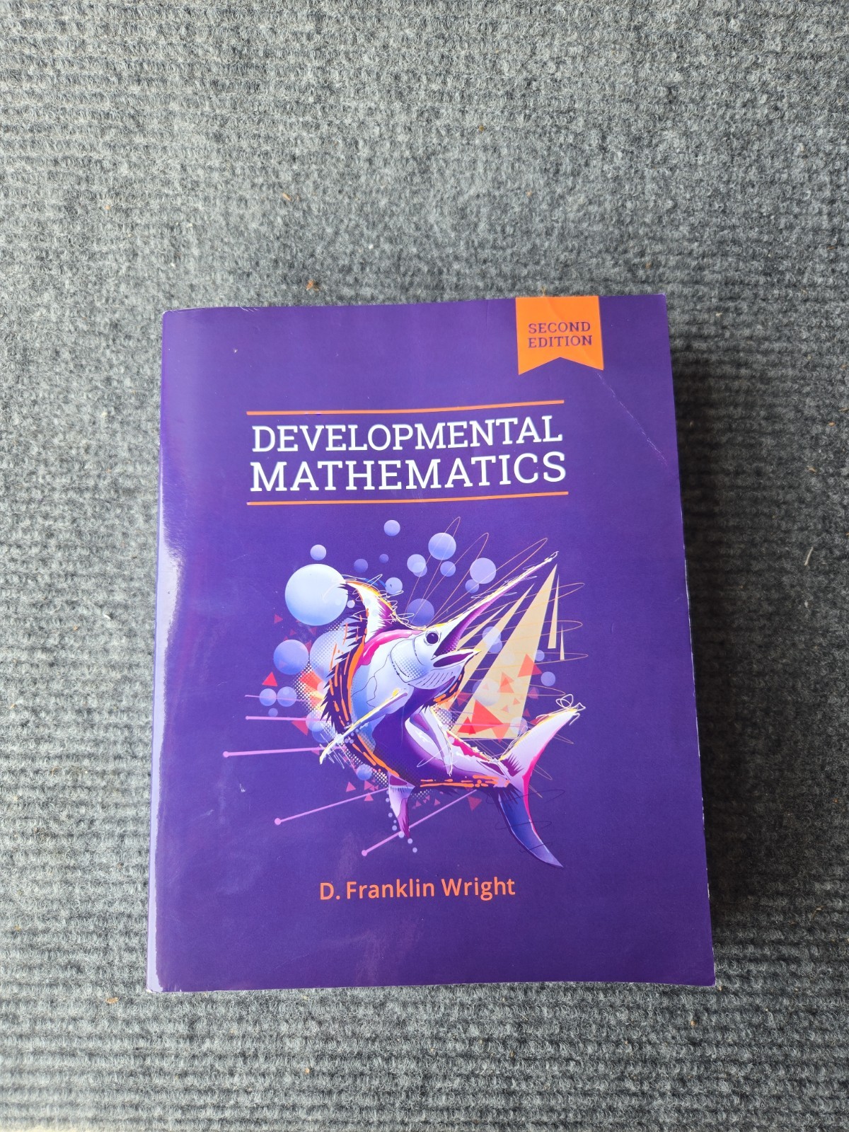 Developmental Mathematics 2e Textbook by Hawkes Learning (2017, Hardcover)