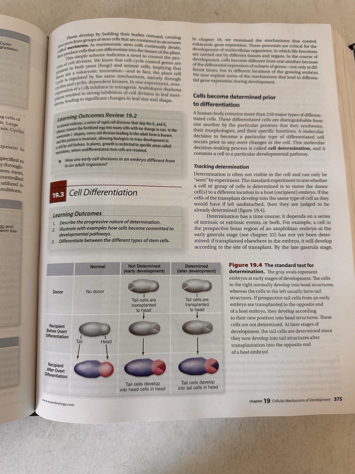 University Of Tampa Biology 10th Edition Bio 203 Bio 204 Biological Diversity/