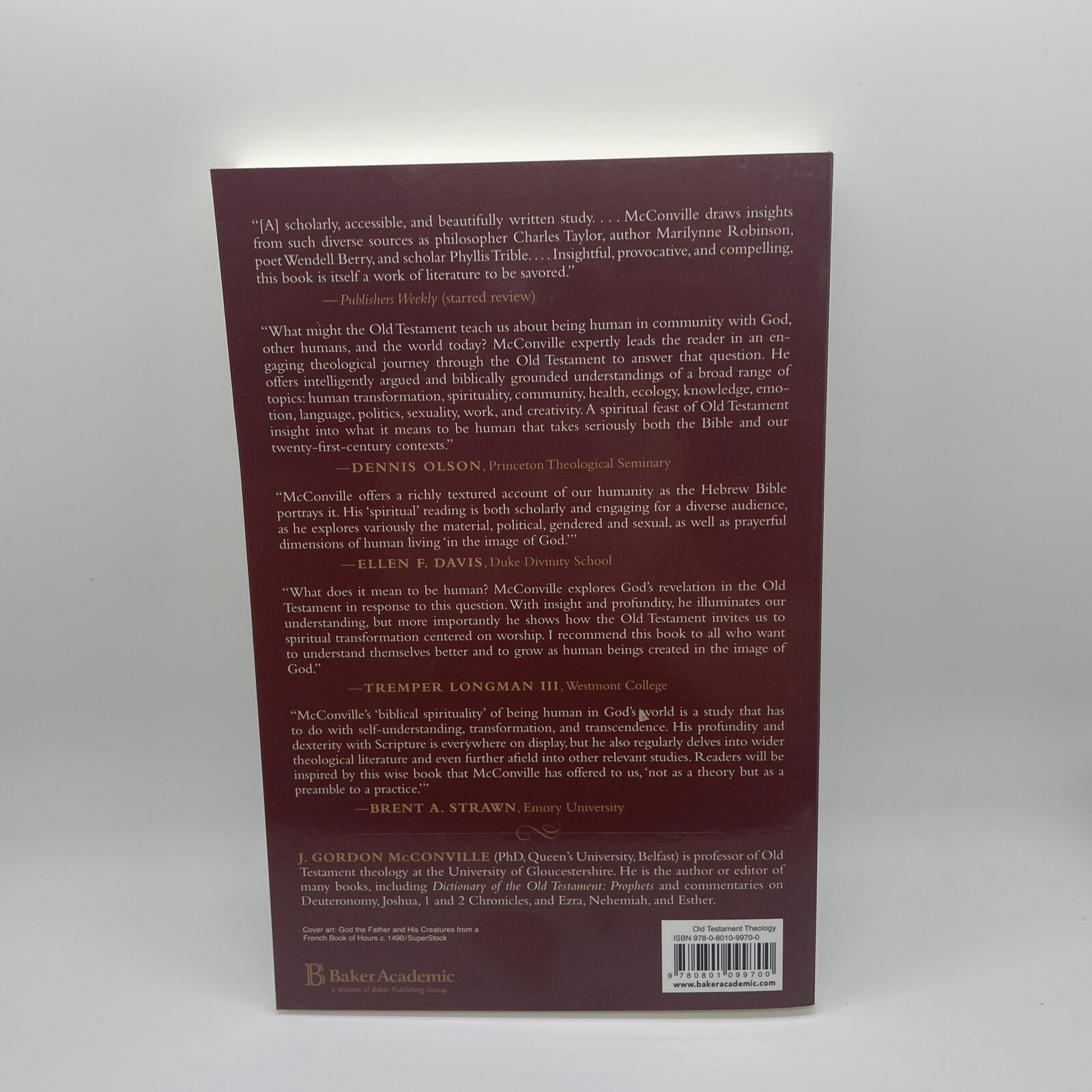 Being Human in God’s World: An Old Testament Theology of Humanity McConville New