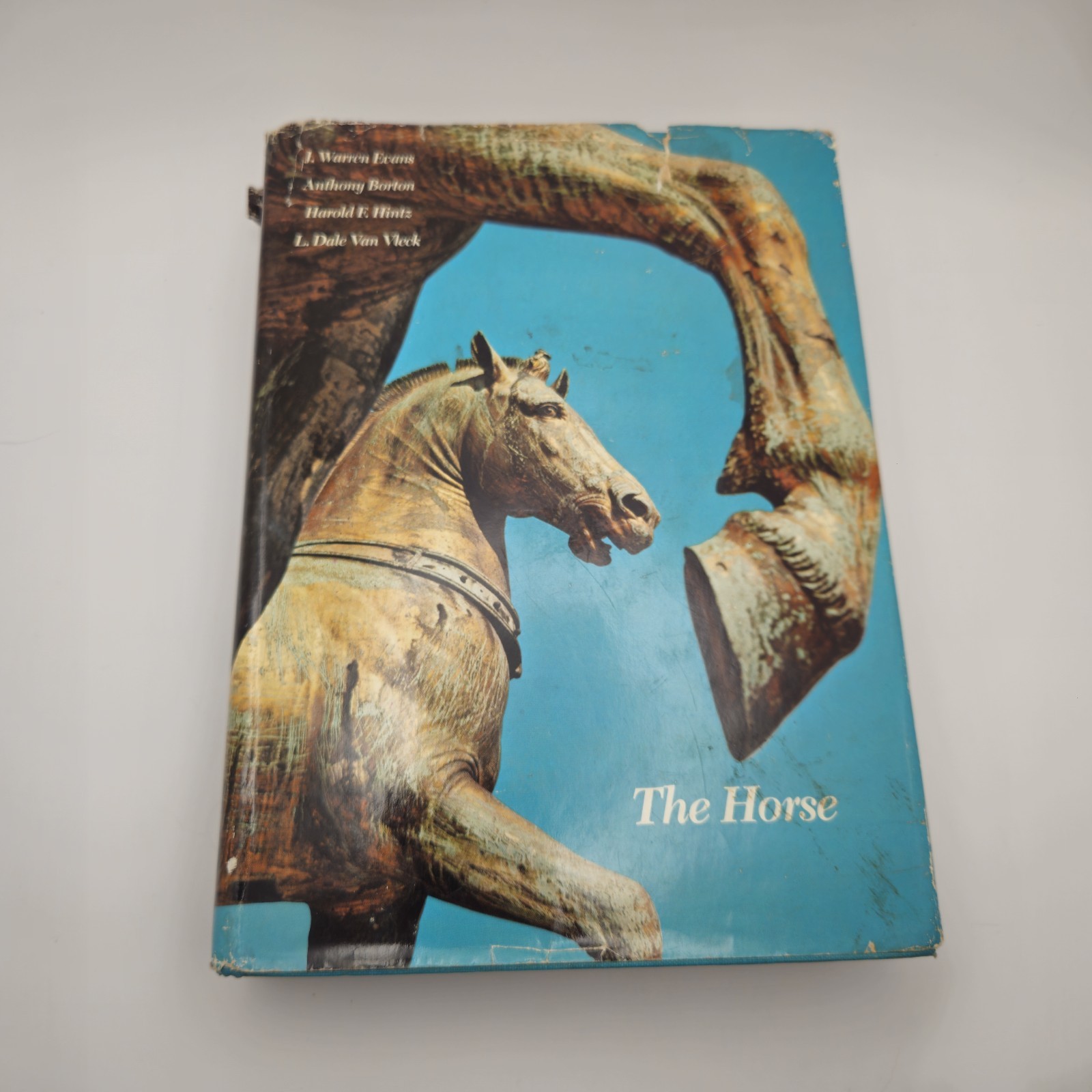 The Horse 1977 1st Edition Hardcover Evans / Borton / Hintz / Van Vleck Vintage