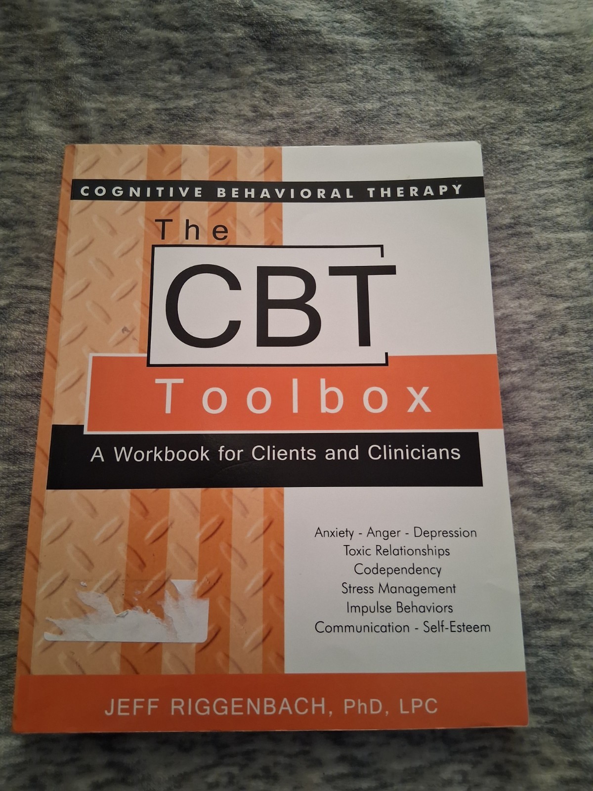 The CBT Toolbox: A Workbook for Clients and Clinicians – Paperback – LIKE NEW