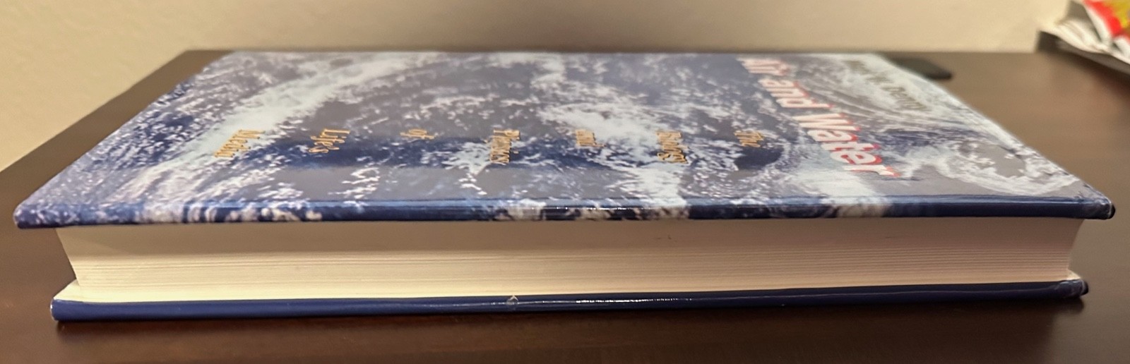 Great Condition: Air and Water: Mark W. Denny: Hardcover