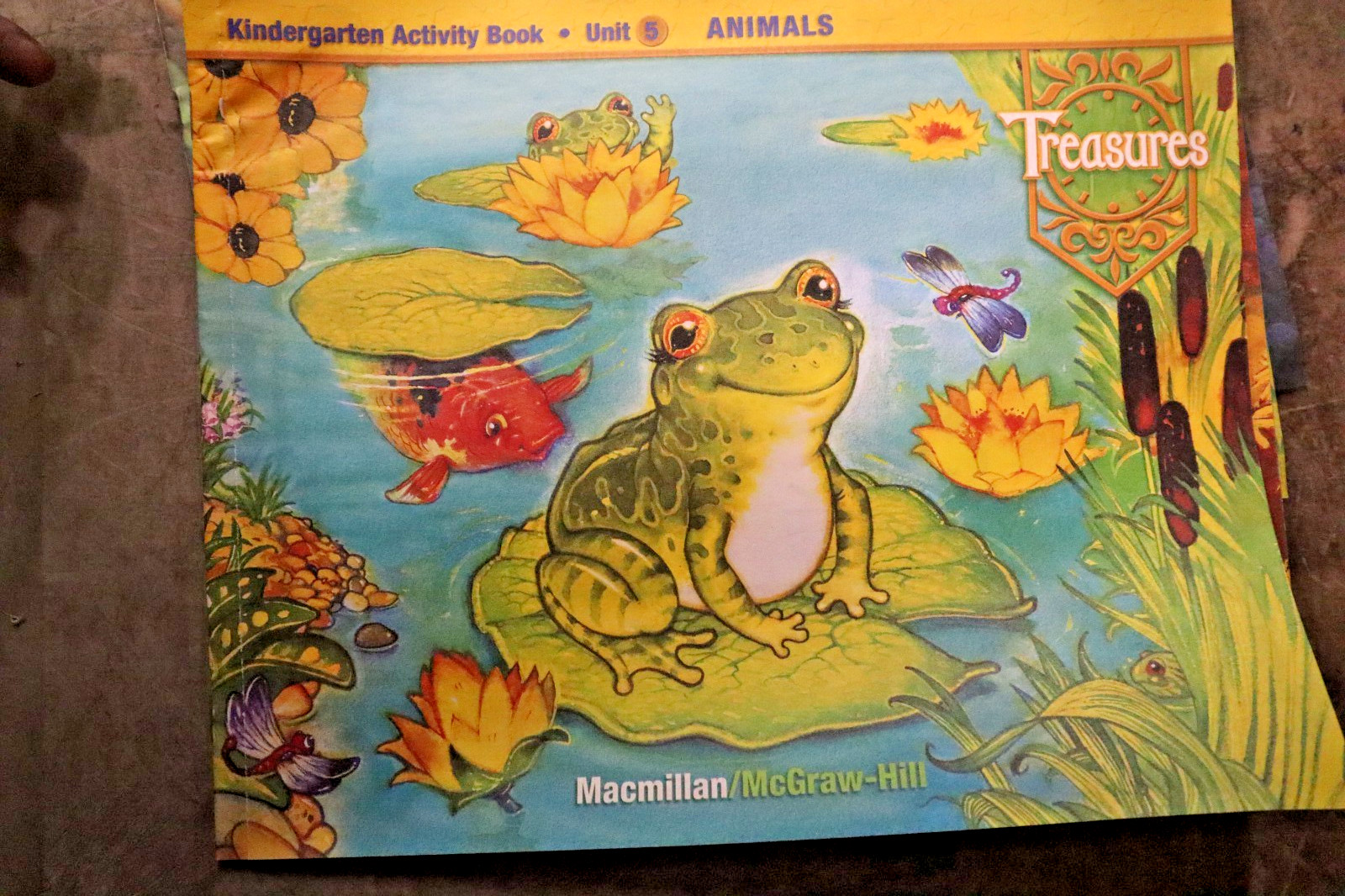 Treasures: Kindergarten Activity Books Units 1-10 + Start Smart ‘WE ARE SPECIAL’