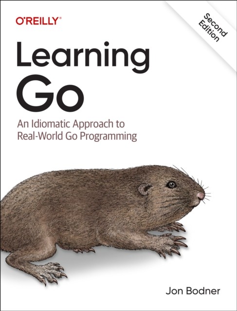 LEARNING GO by Jon Bodner Paperback Self Help Business