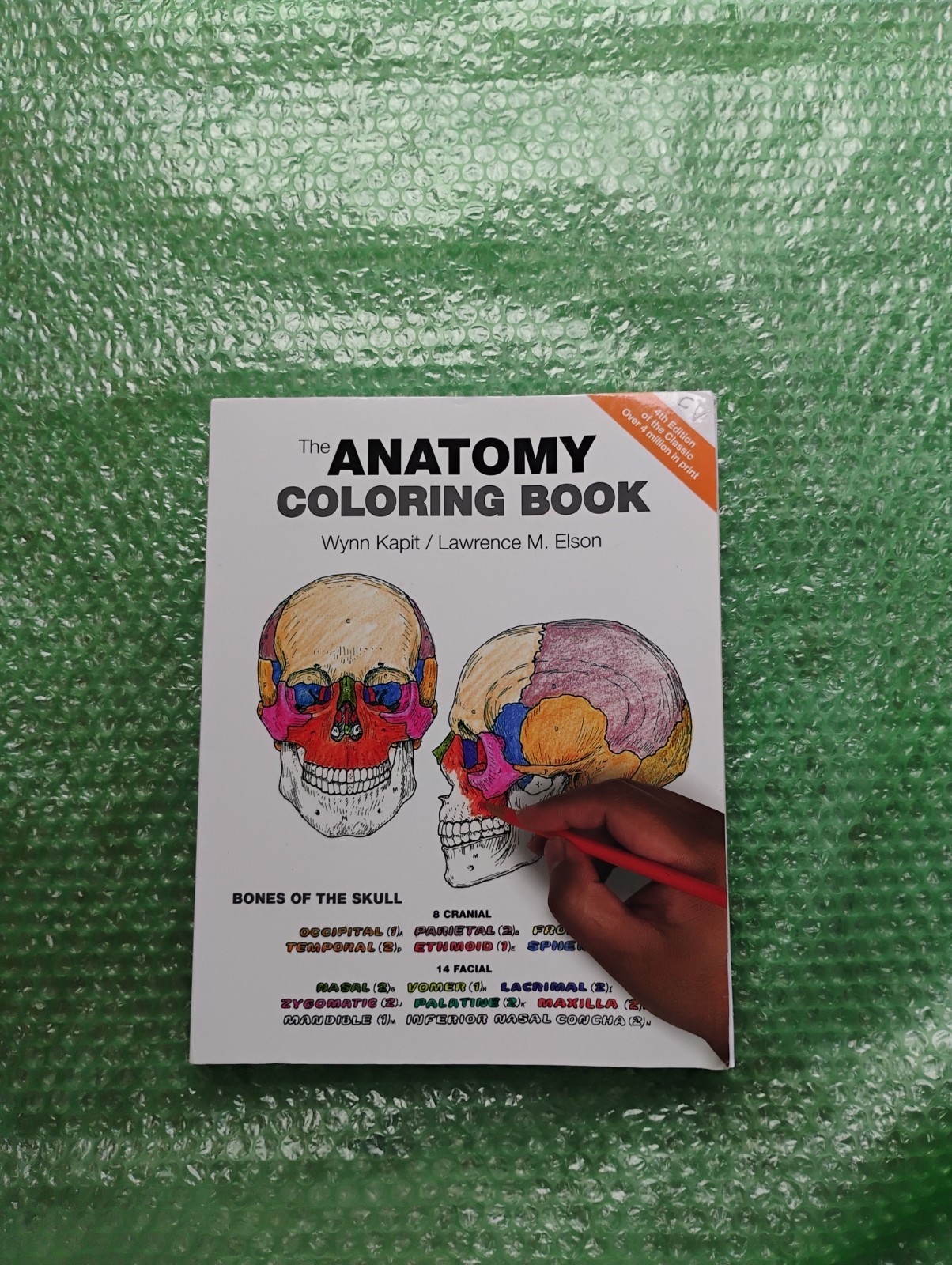 Anatomy Coloring Book by Wynn Kapit and Lawrence Elson (2013, Trade Paperback)