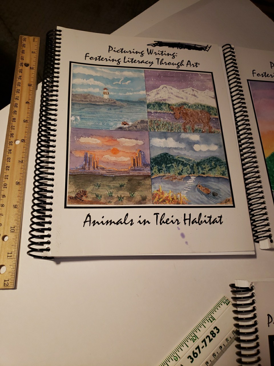 Picturing Writing Lot Of 3 PB Books By Beth Olshansky Art Based Literacy RARE