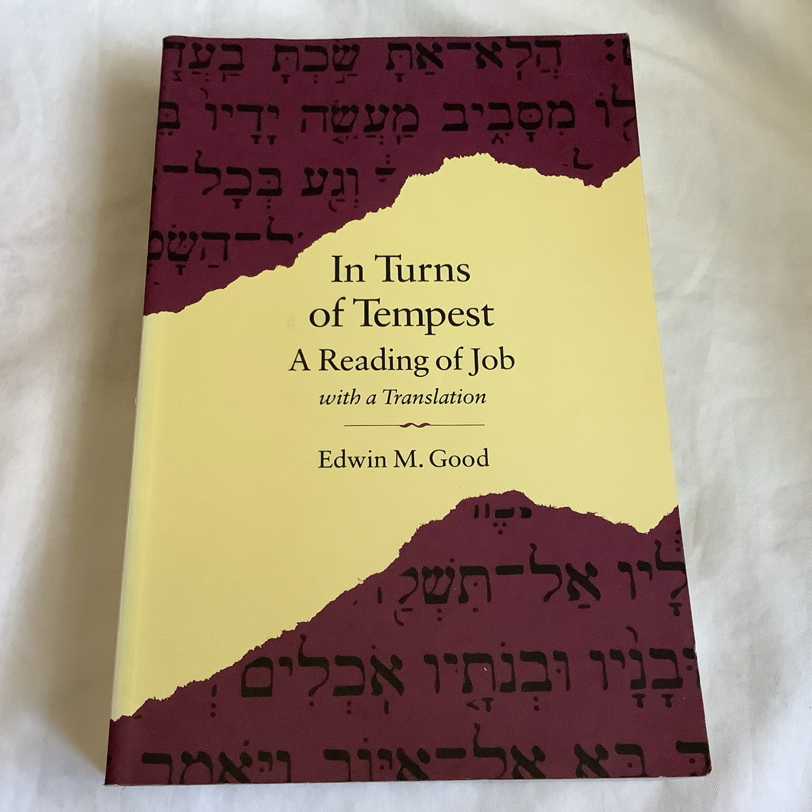 In Turns of Tempest: A Reading of Job, with a Translation by Edwin M. Good – VG+