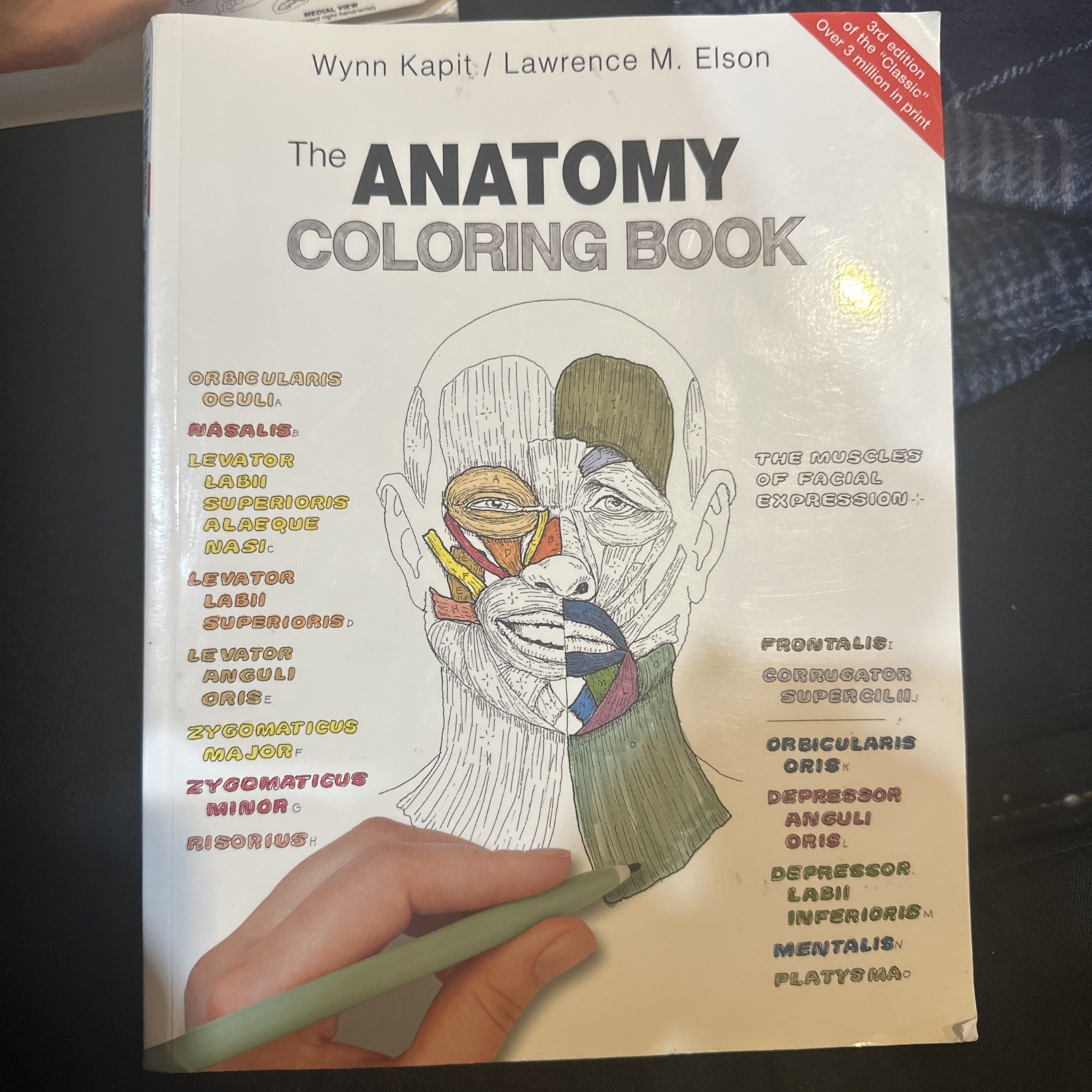 The Anatomy Coloring Book – paperback, Wynn Kapit