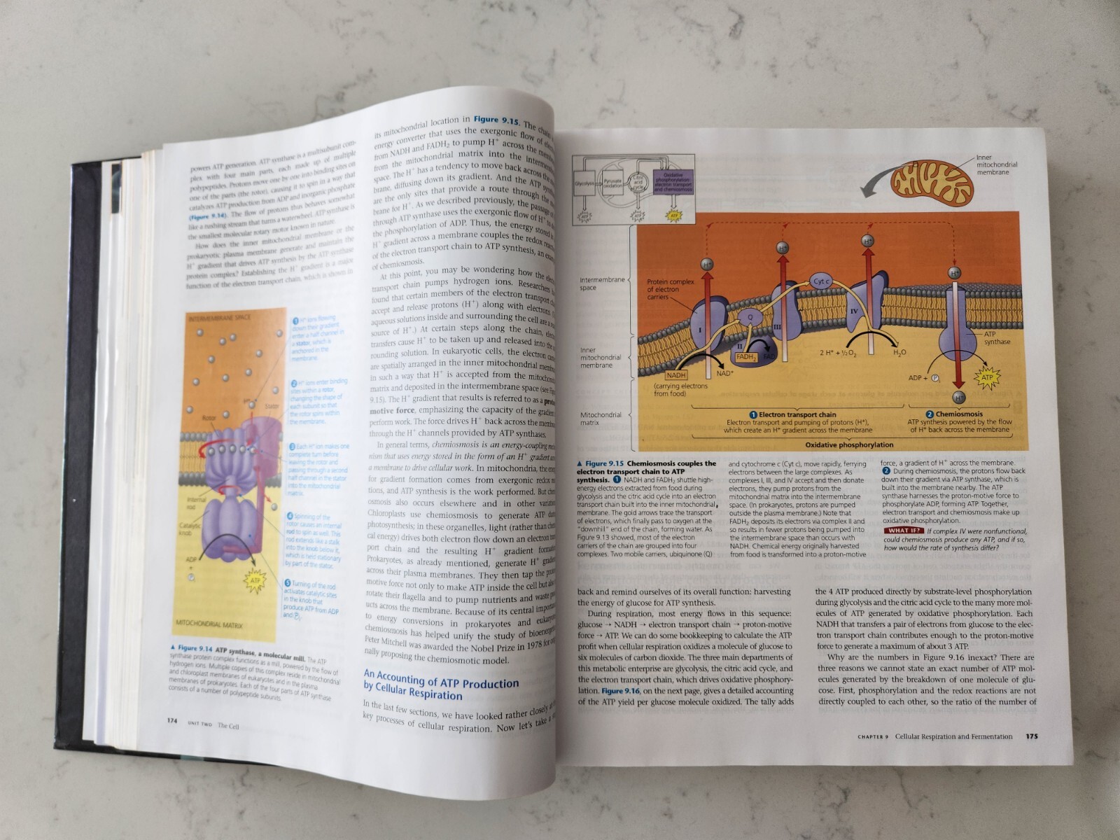 Campbell Biology 9th Edition