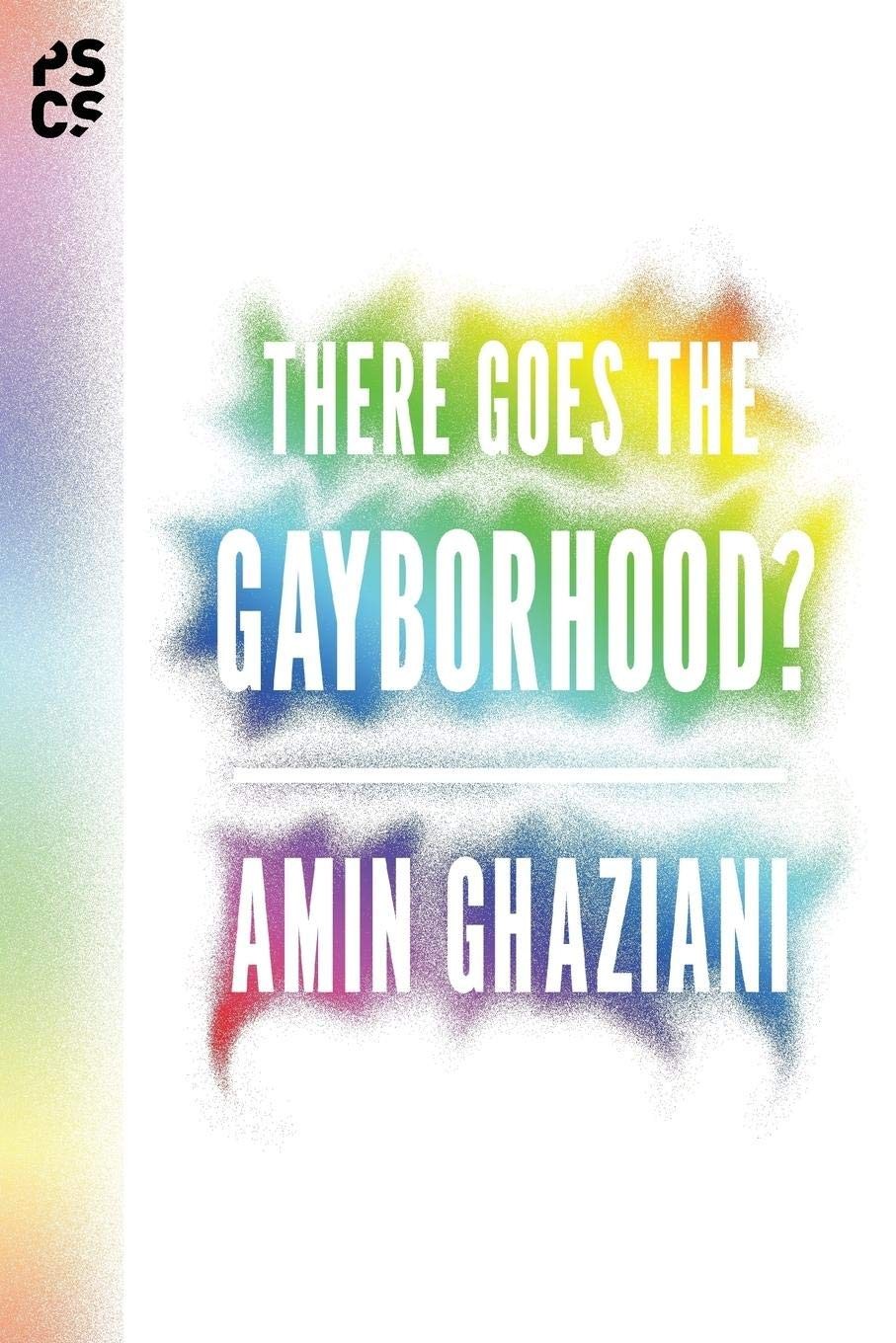 There Goes the Gayborhood? (Princeton Studies in Cultural Sociology)