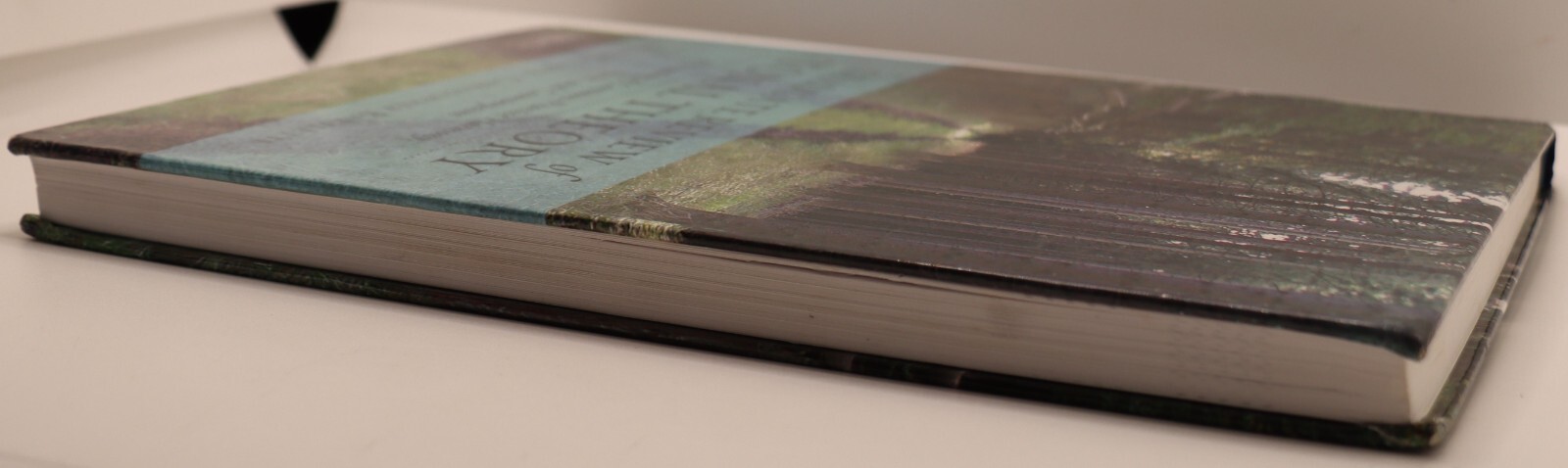 Graduate Review of Tonal Theory by Steven G Laitz 2010 Hardback 9780195376982