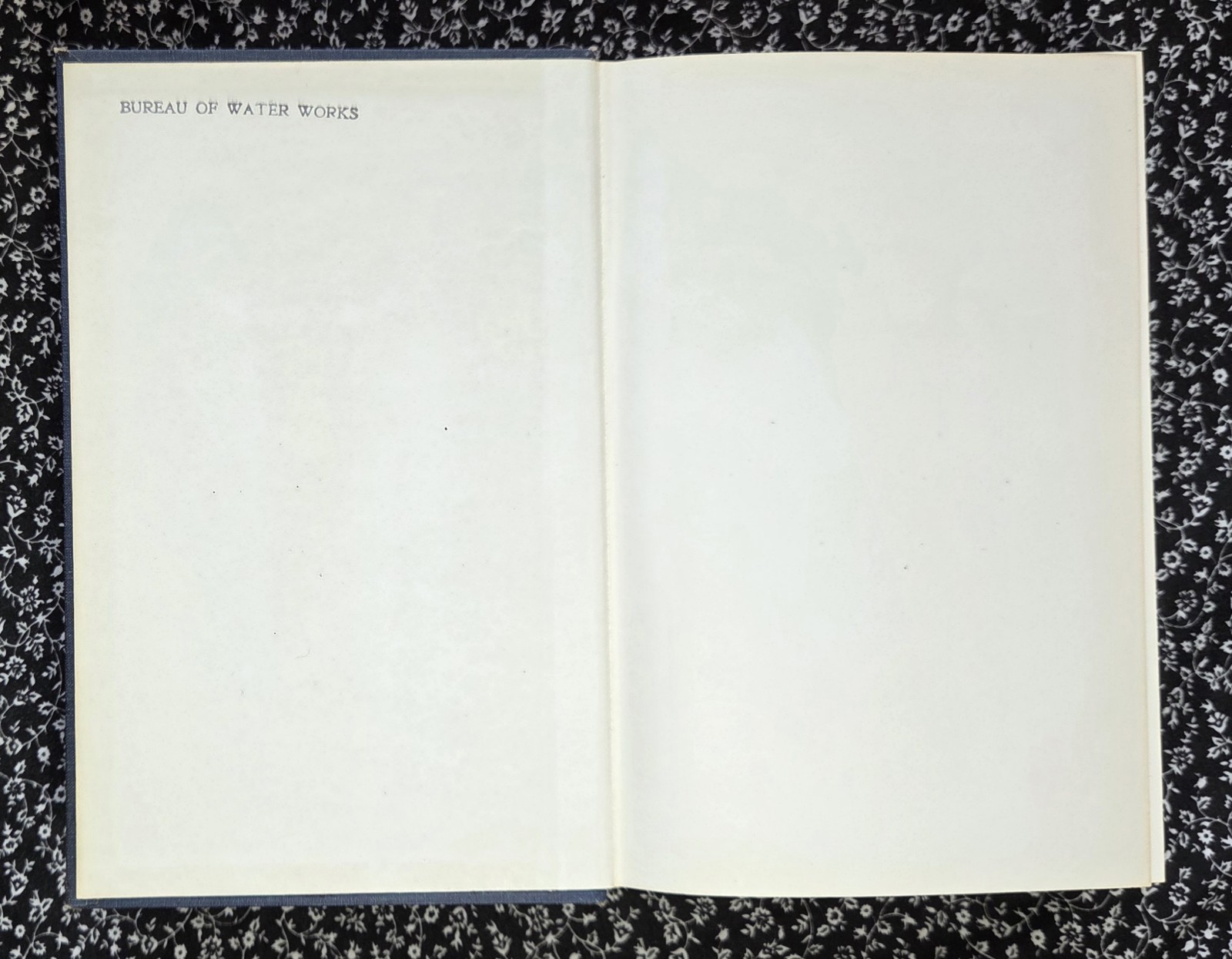 A Treatise on Limnology, Volume 1, G. Evelyn Hutchinson, 1957, HC