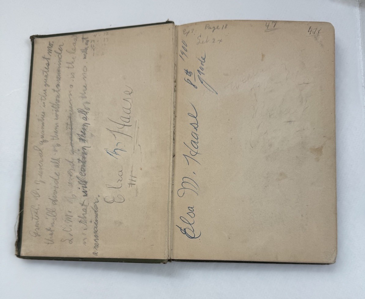 1894- Elementary Lessons In Algebra-Sabin And Lowry. American Book Company