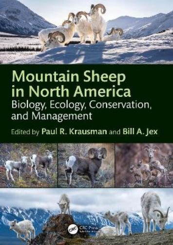 Paul R. Krausman Mountain Sheep in North America (Paperback)