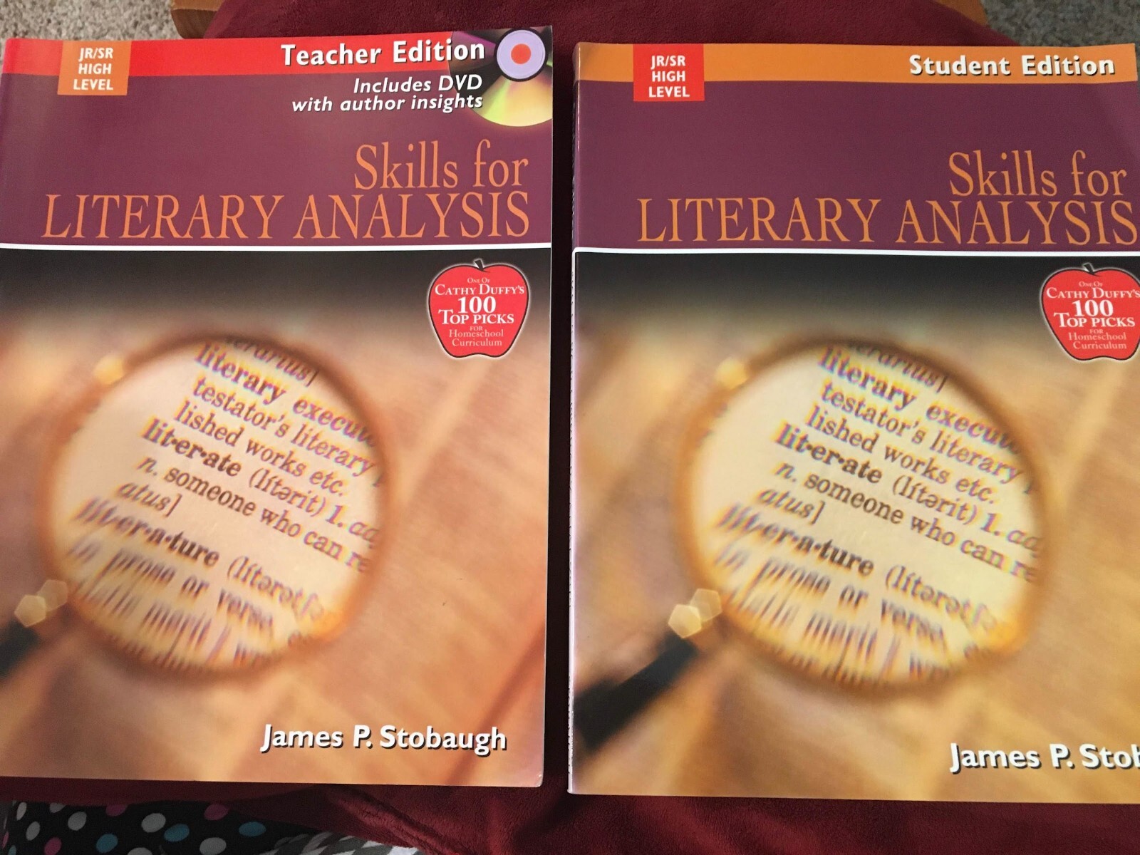 SKILLS FOR LITERARY ANALYSIS: ENCOURAGING THOUGHTFUL By James P. Stobaugh Set