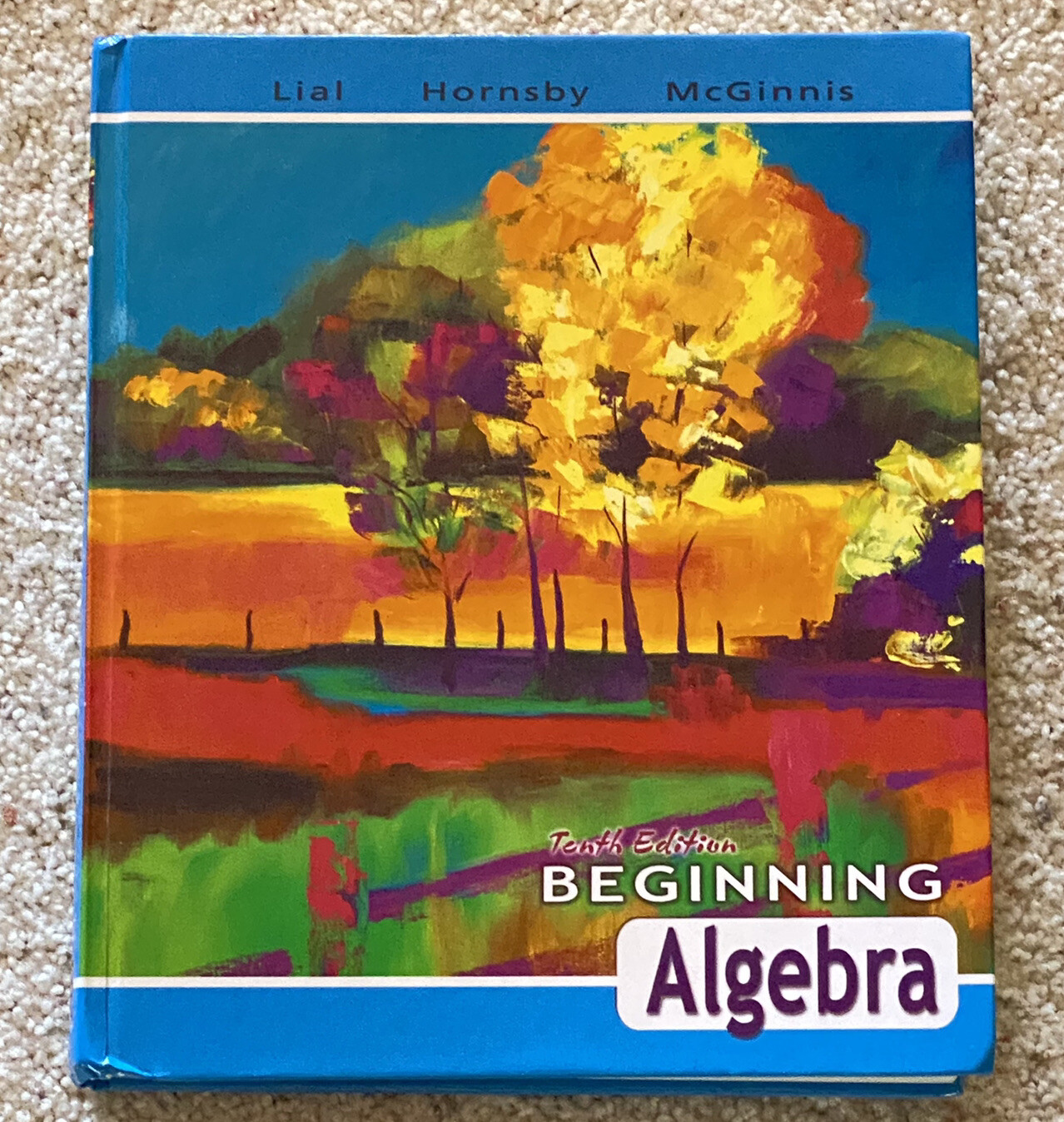 Beginning Algebra Tenth Edition By Lial Hornsby McGinnis