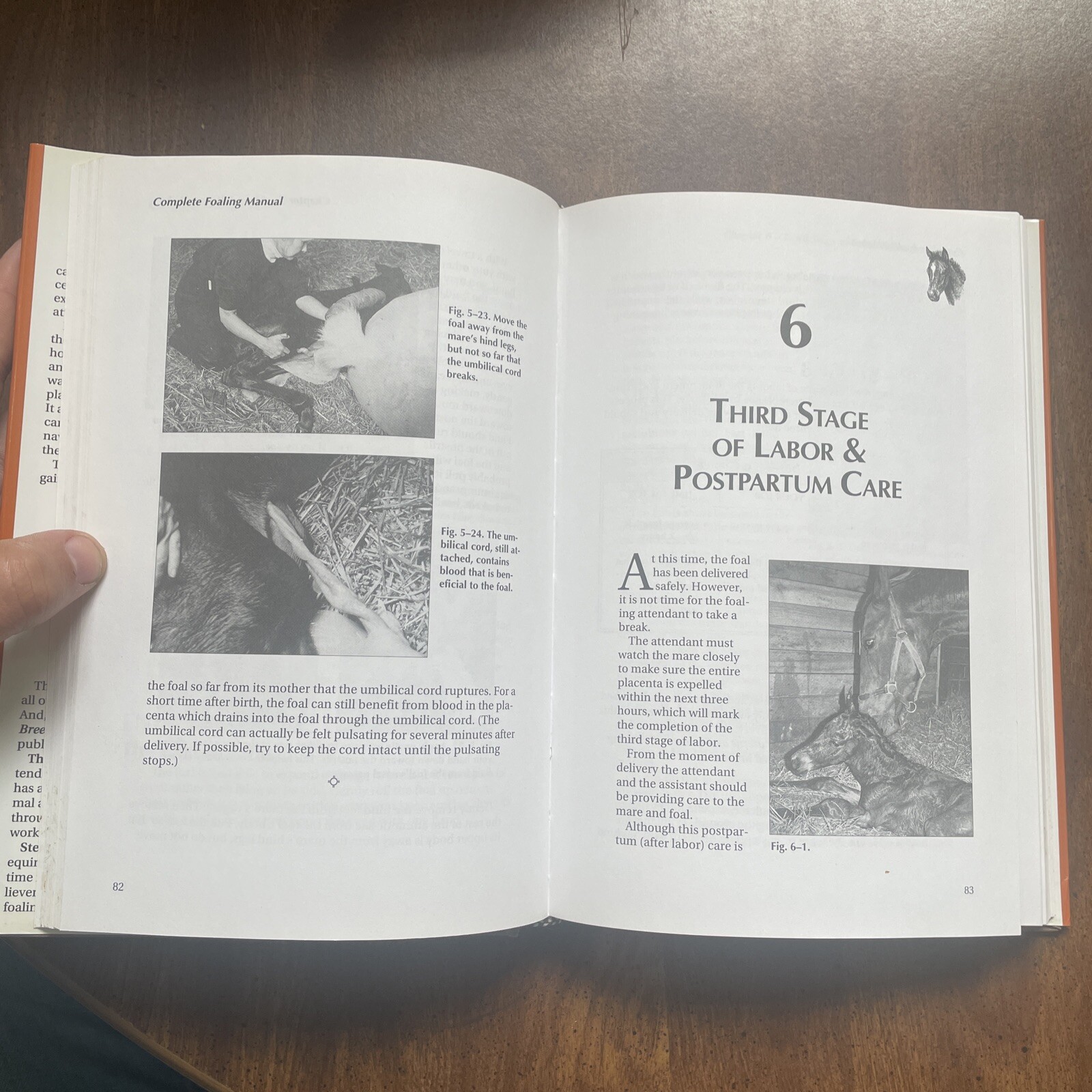 Rare Complete Foaling Manual, Jones, Theresa Hard Cover VG