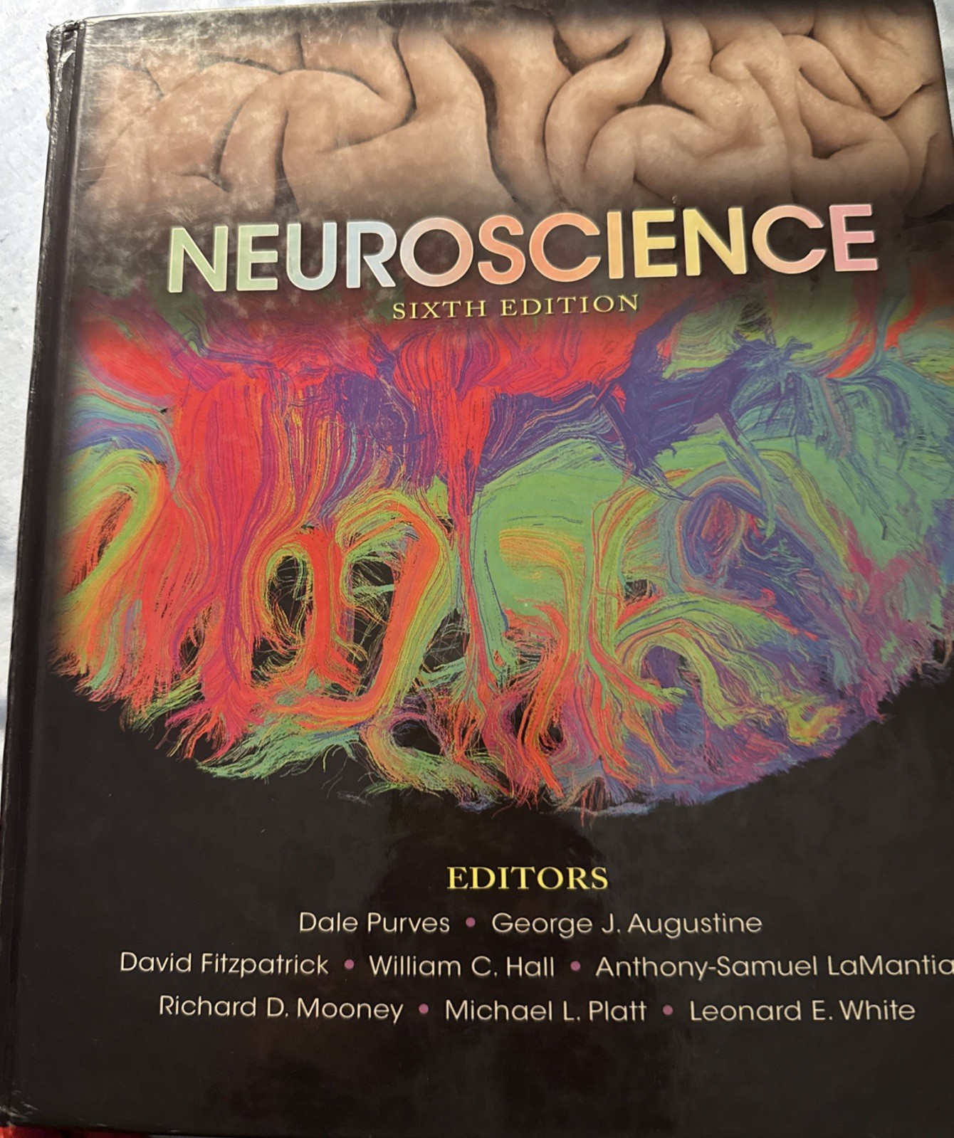 Neuroscience Sixth Edition Dale Purves Hardcover Textbook Unscratched Code
