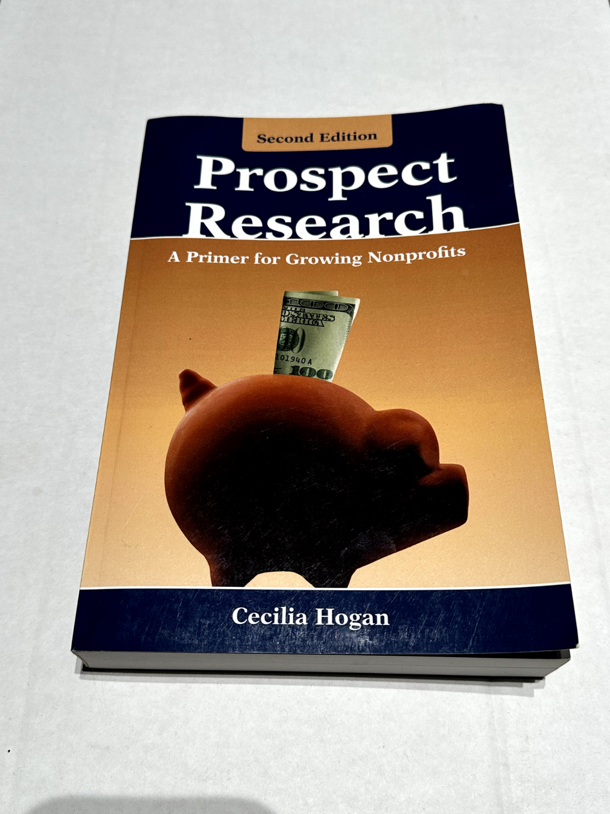 Prospect Research: a Primer for Growing Nonprofits by Cecilia Hogan (2007, Trade