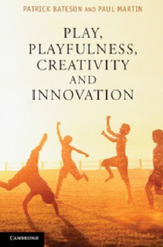 Play, Playfulness, Creativity and Innovation by Bateson, Patrick; Martin, Paul