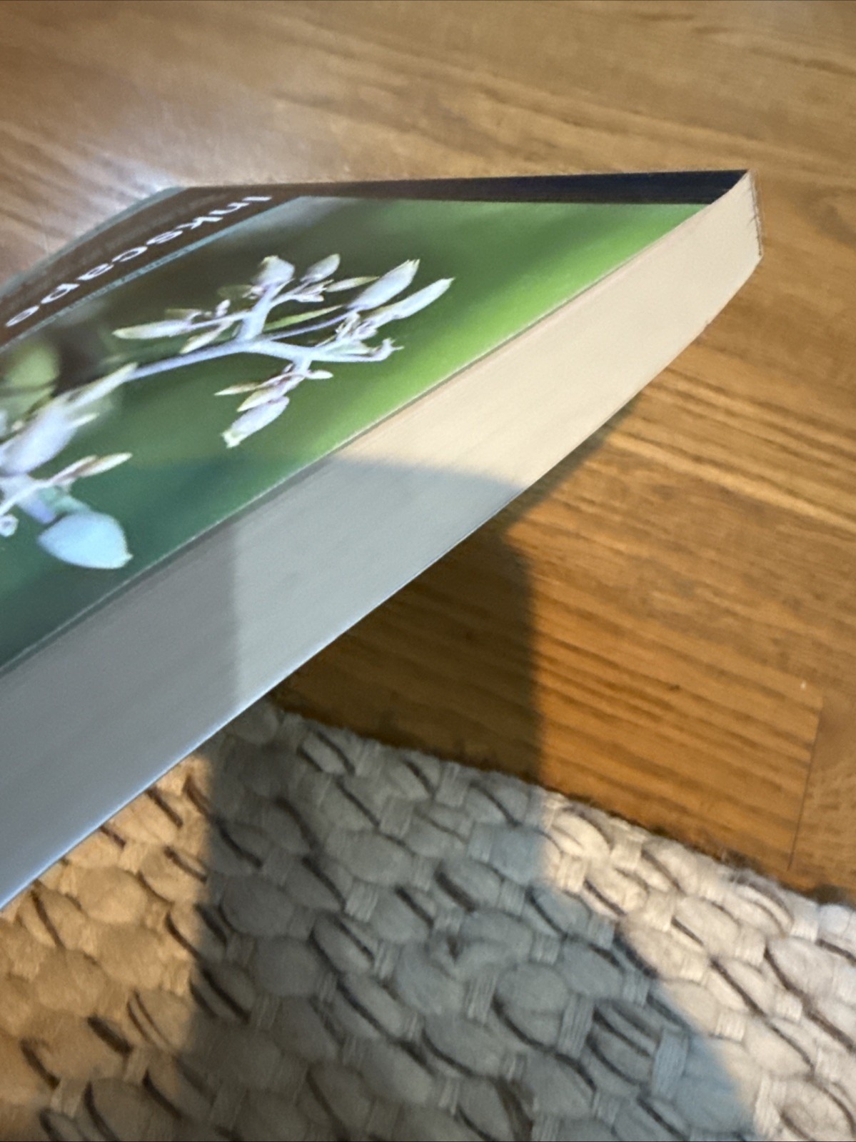 Inkscape Beginner’s Guide by Bethany Hiitola: New