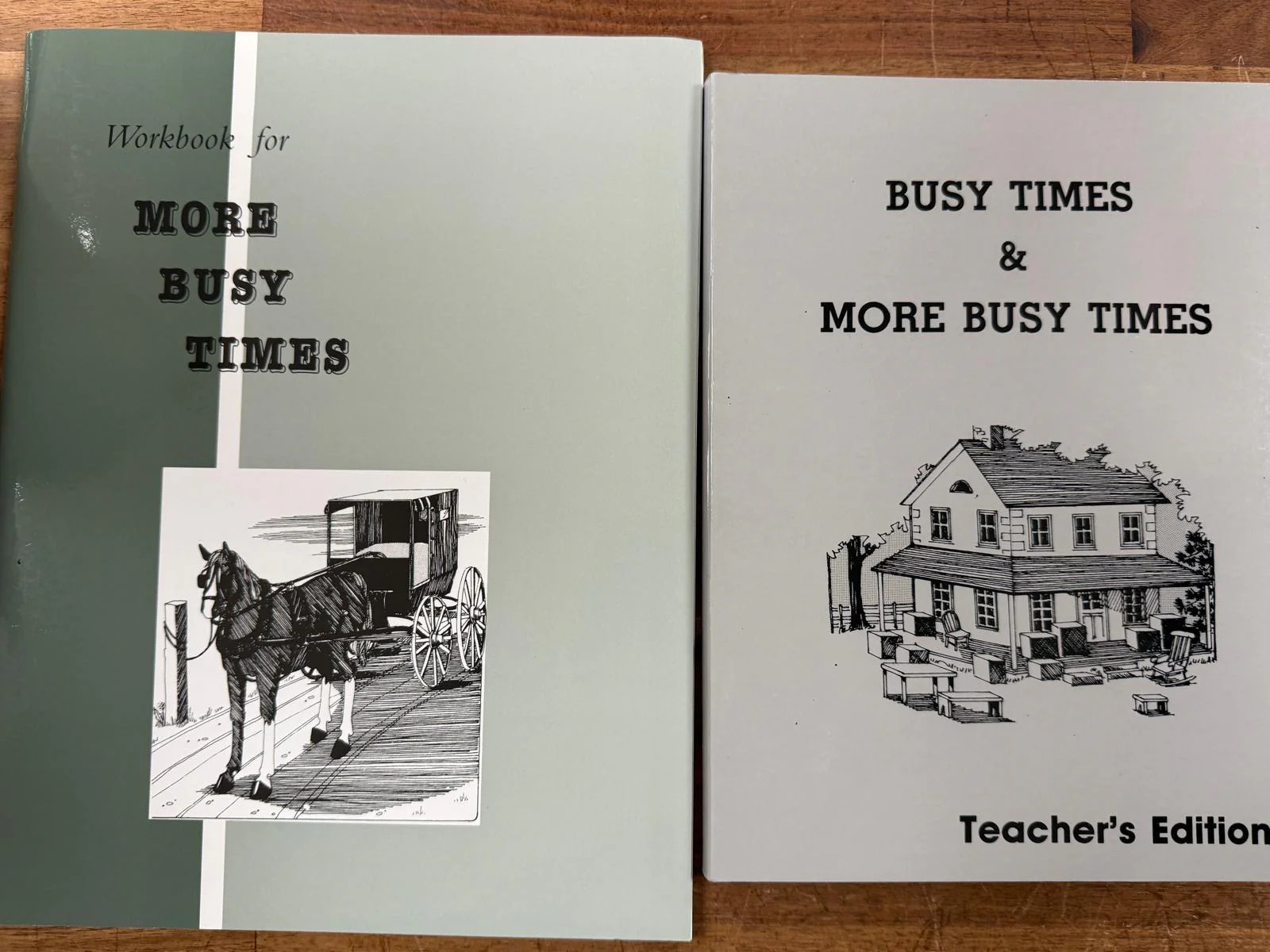 Pathway Publishers Busy/More Busy Times TE & Workbook