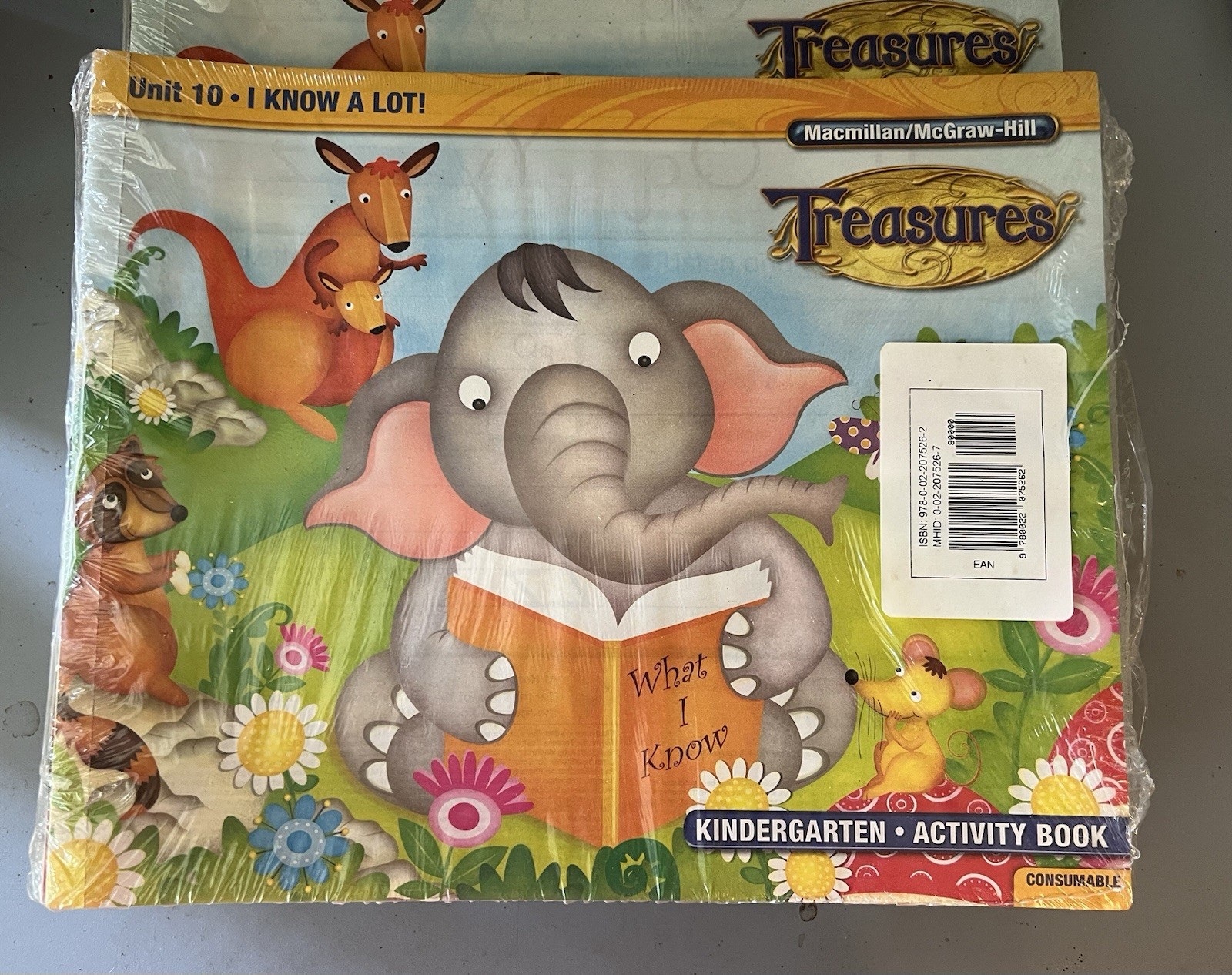 Macmillan/McGraw-Hill Treasures KINDERGARTEN ACTIVITY BOOK I Know A lot 10 Pk NW