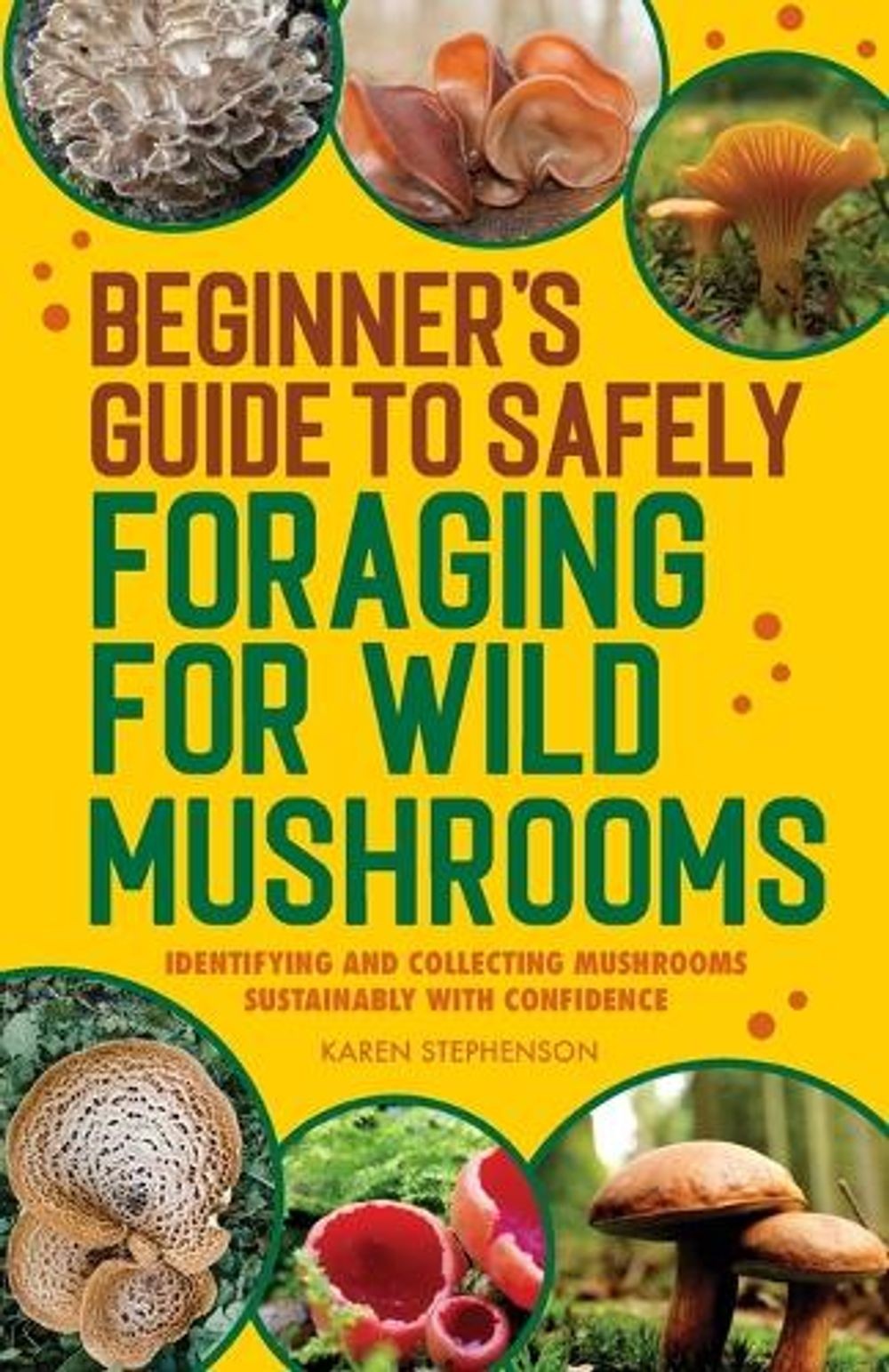 Beginner’s Guide to Safely Foraging for Wild Mushrooms: Identifying and Collecti