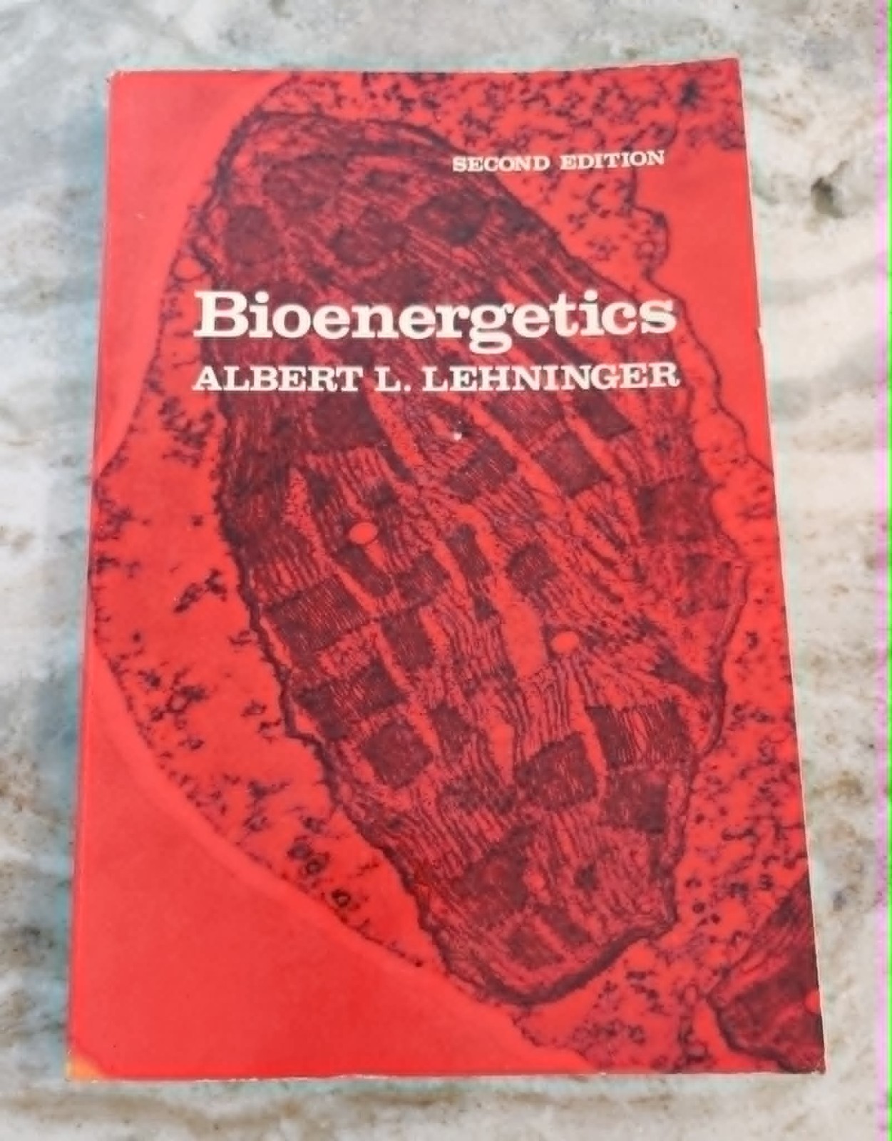Bioenergetics by Albert L. Lehninger, 2nd Edition, 1973, Paperback Book
