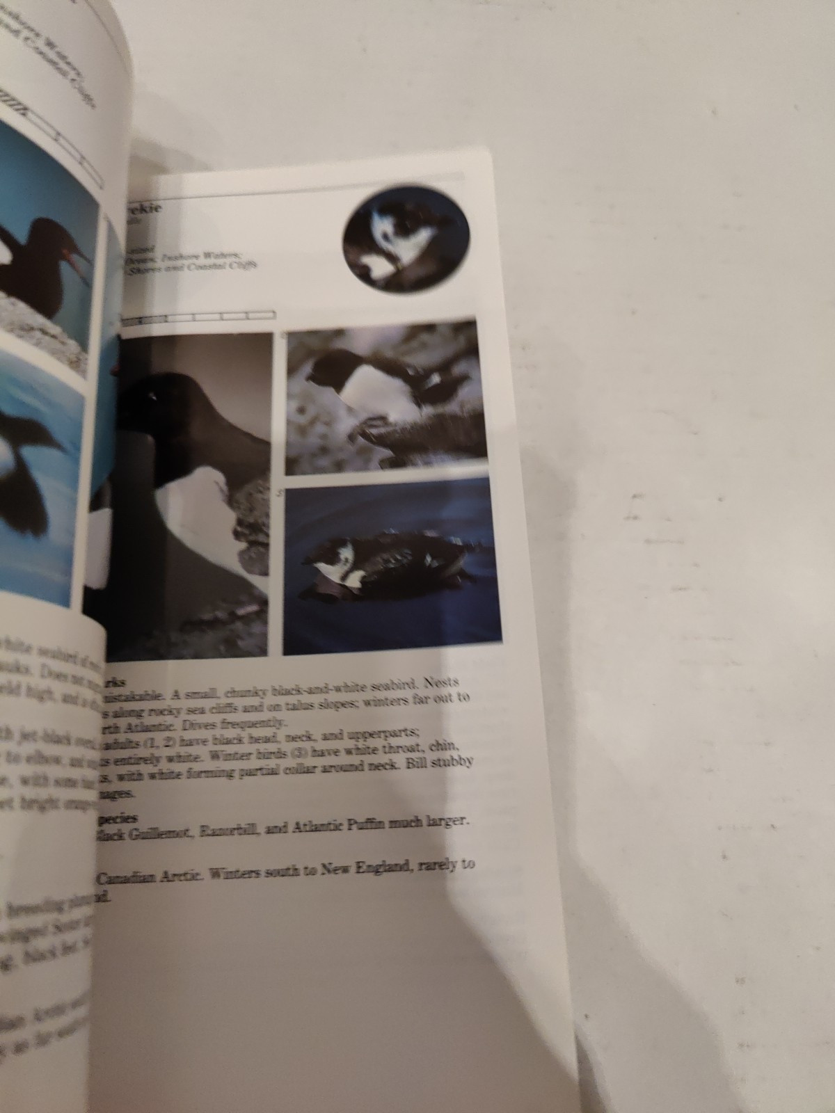 Audubon Handbook: Eastern Birds – Paperback By Farrand, John – GOOD