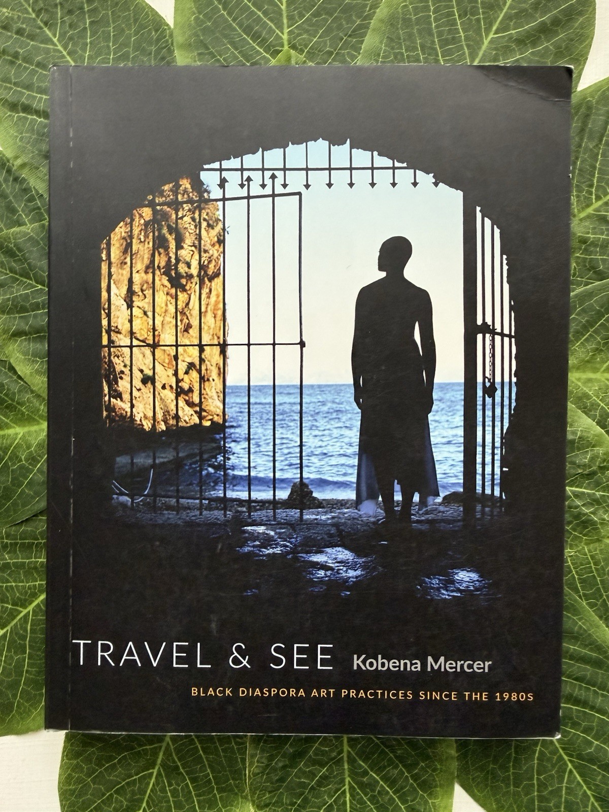 Travel & See. Kobena Mercer. Used Very Good. Free Shipping.