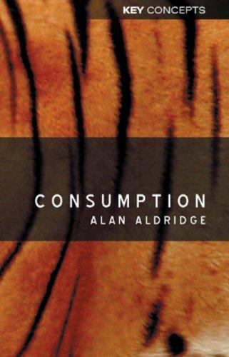 Key concepts Ser.: Consumption by Alan Aldridge (2