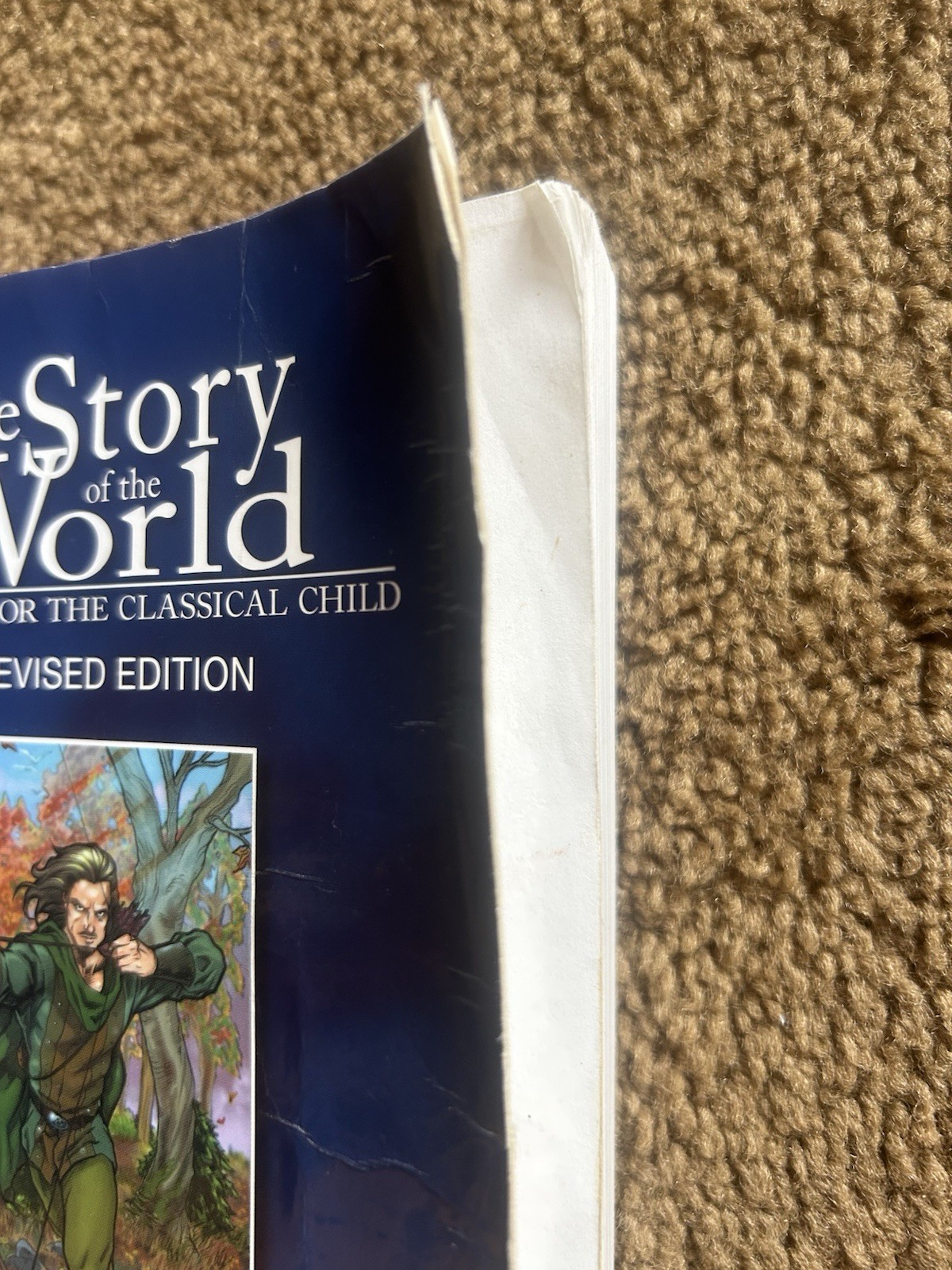 Story of the World Series #:2 Middle Ages Activity Book, CDs, & Read Aloud Book