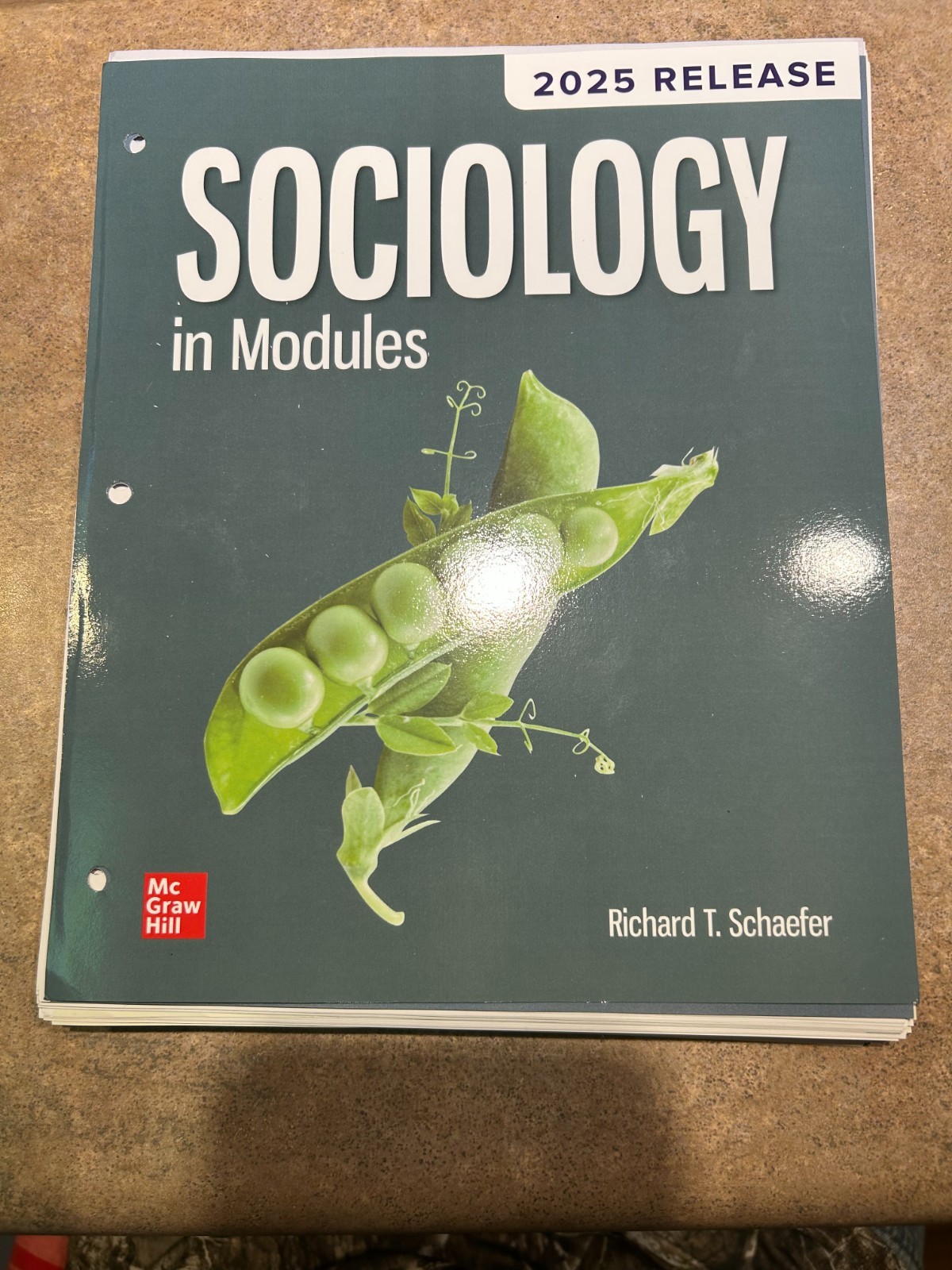 Sociology in Modules ISE – Paperback/Looseleaf, by Schaefer Richard T.