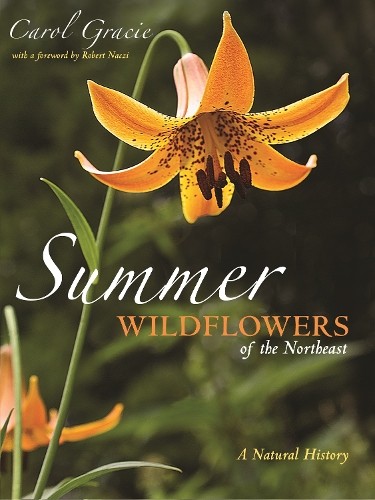 Carol Gracie Summer Wildflowers of the Northeast (Paperback)