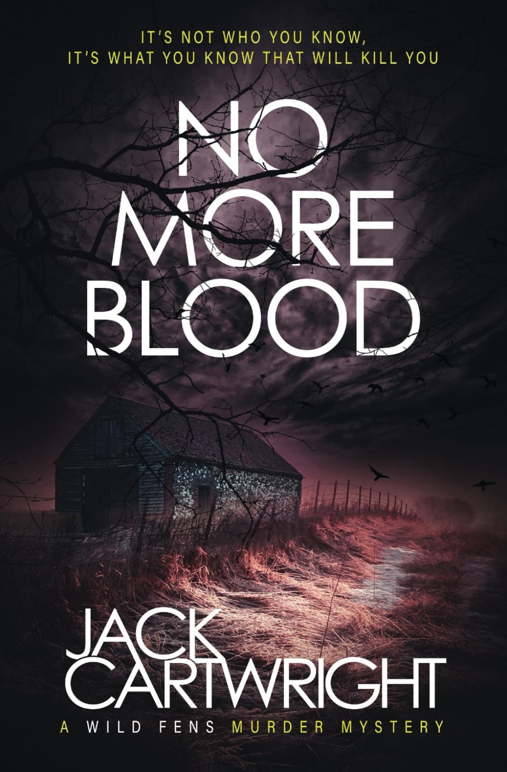 No More Blood: A British Murder Mystery (The Wild Fens Murder Mystery Series)