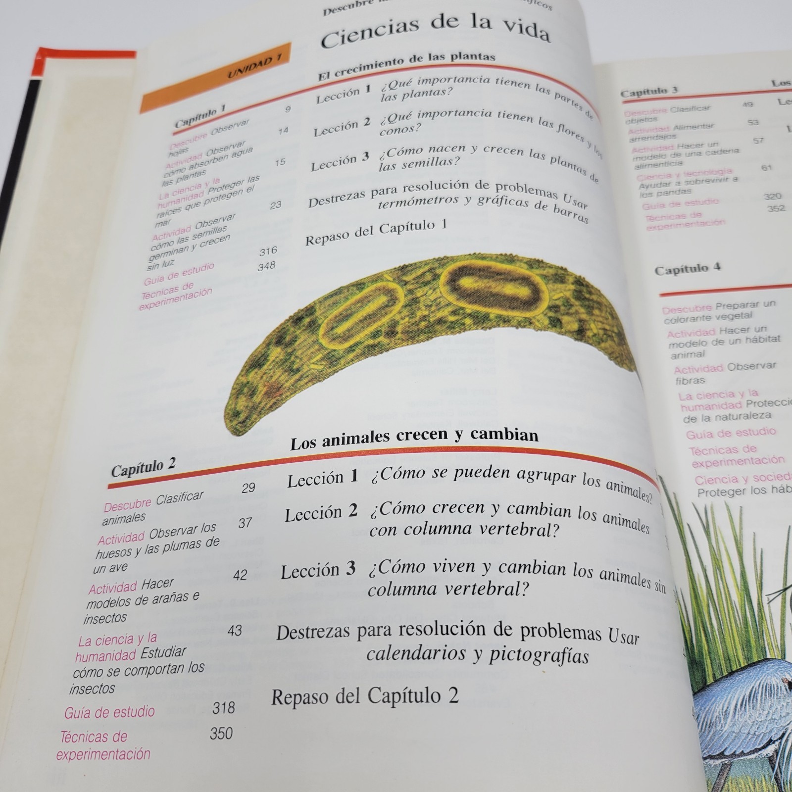 Descubre Las Ciencias Scott Foresman Texas Edition 1991 Spanish Science Textbook