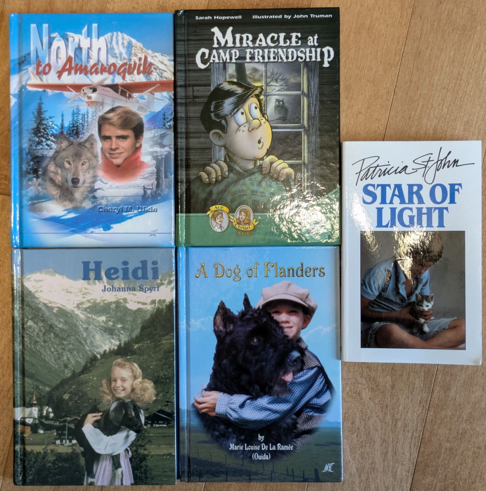 ACE Grade 5 Literature Books, Set of 5 books, Excellent Condition