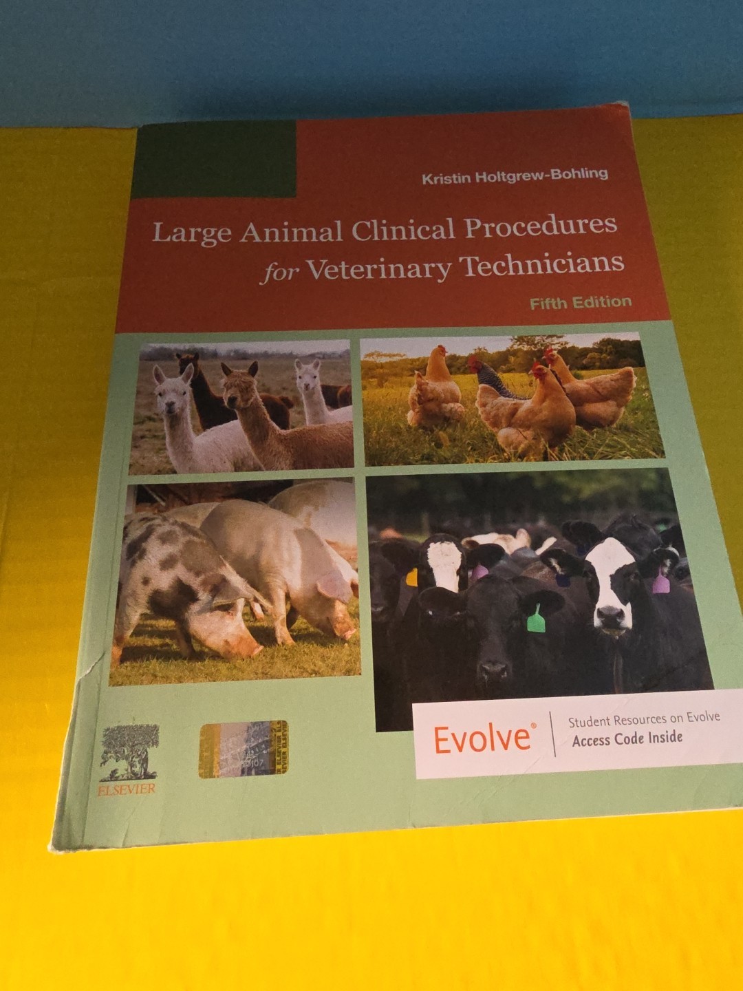 Large Animal Clinical Procedures for Veterinary Technicians : Husbandry,…