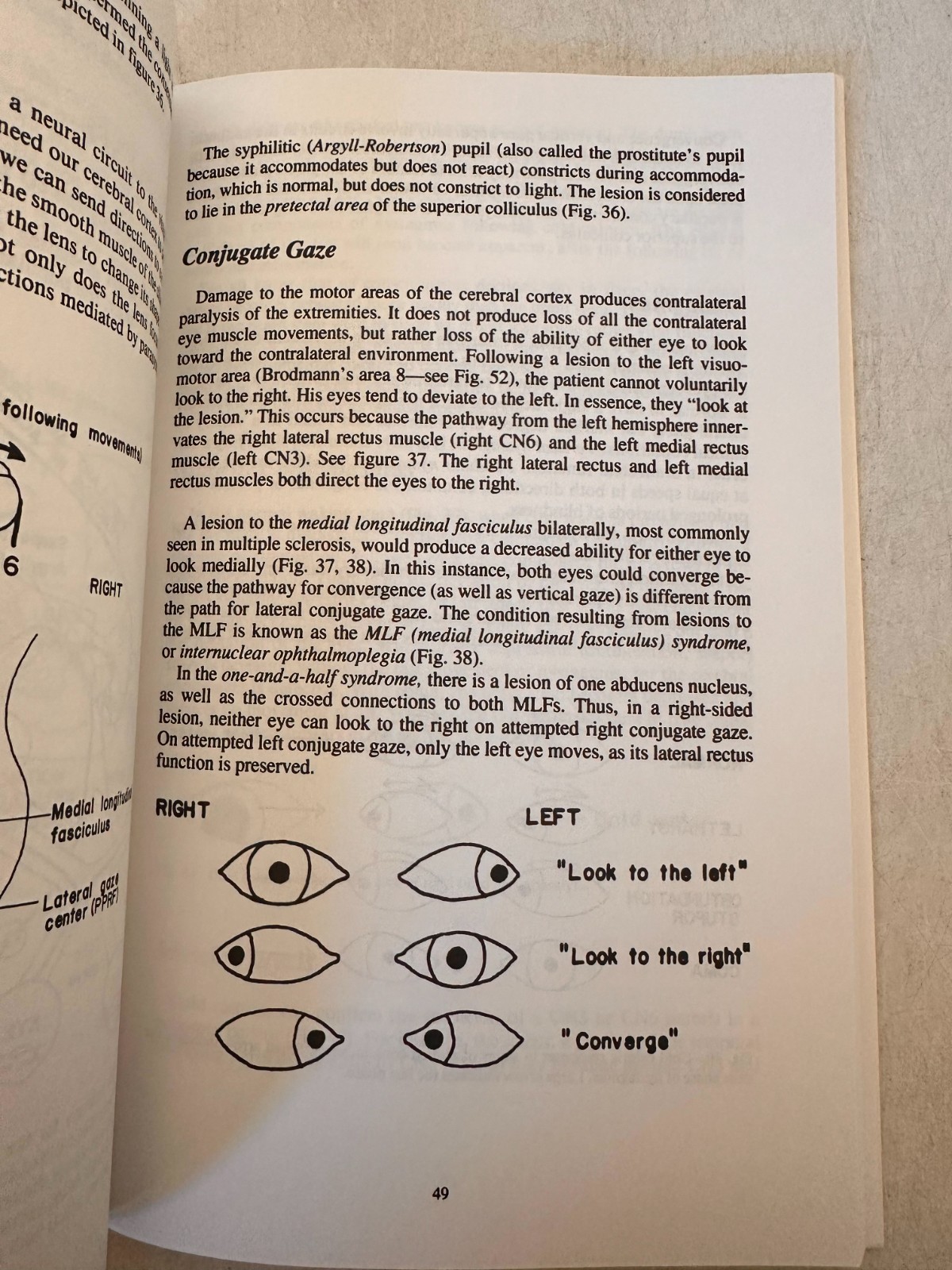 Clinical Neuroanatomy Made Ridiculously Simple by Stephen Goldberg 2002