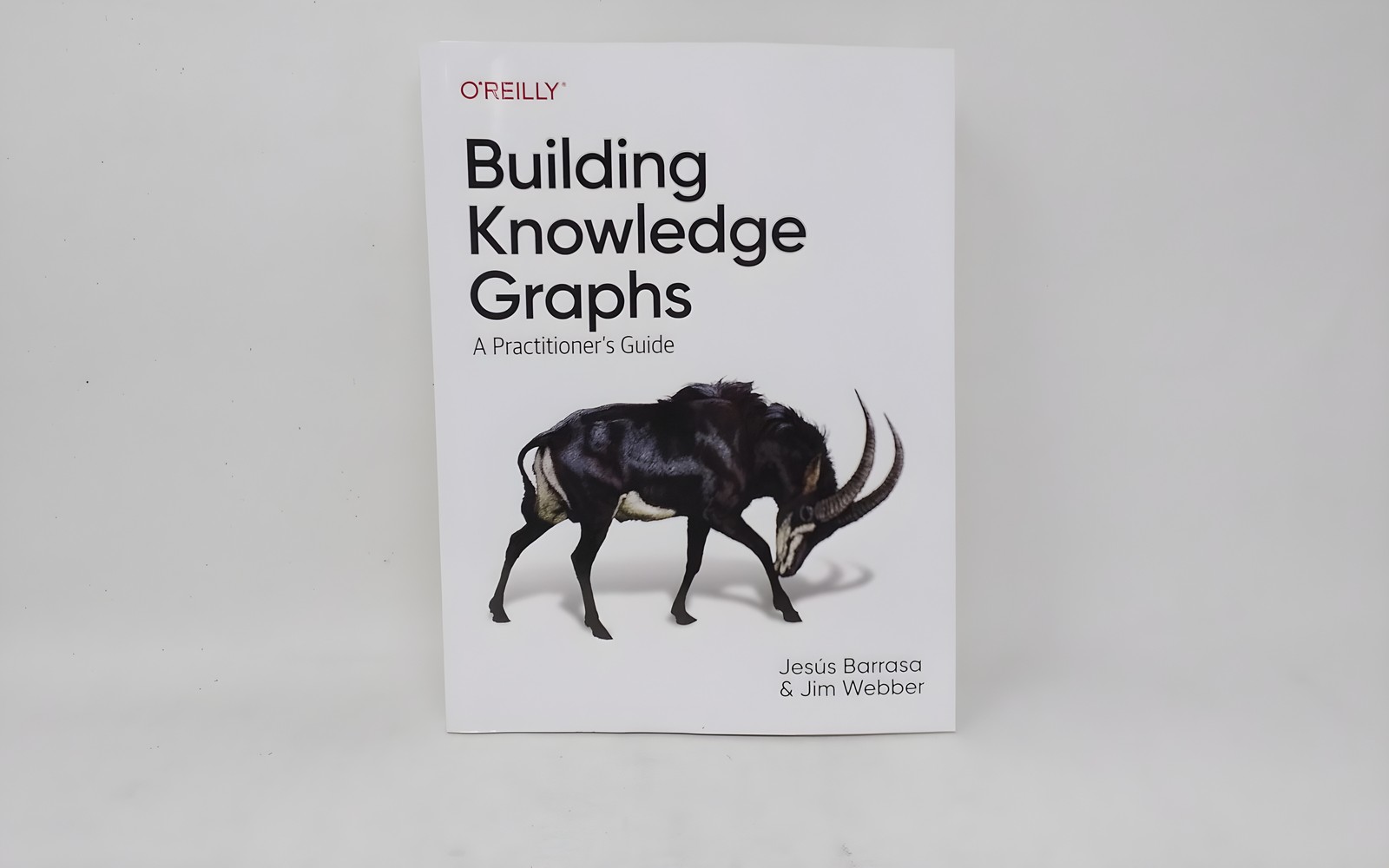O’Reilly Media Building Knowledge Graphs 9781098127107 Barrasa Webber Paperback