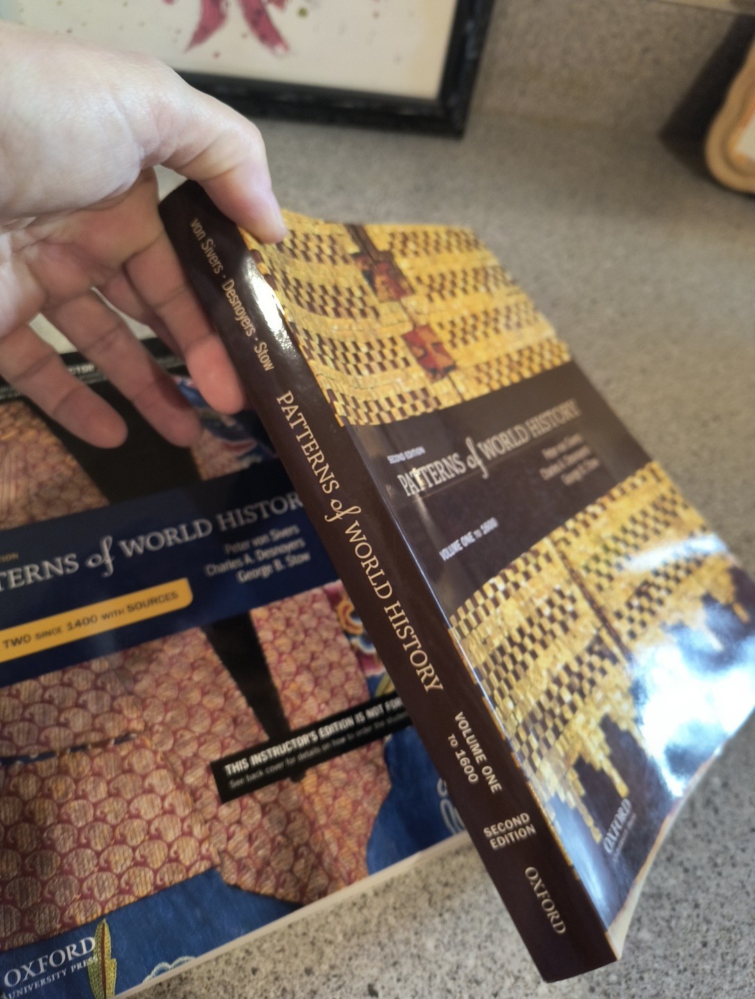 Patterns of World History: Vol One To 1600 Vol Two: Since 1400 2nd edition Lot