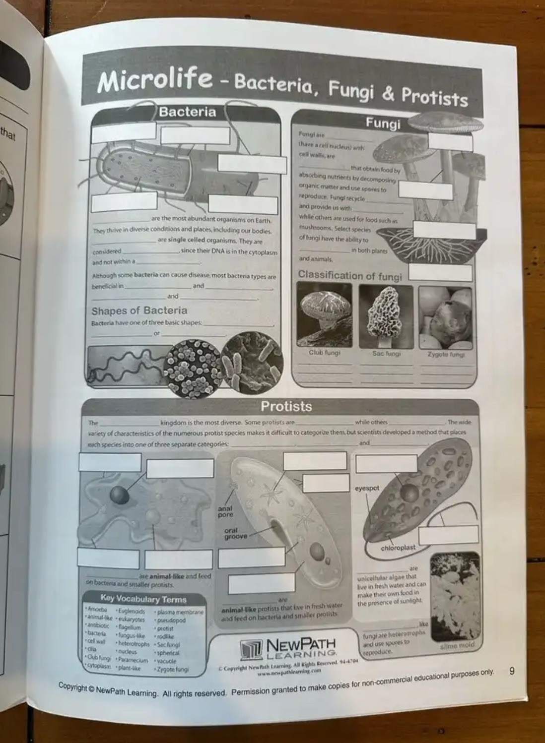 Vintage Science Stem School Learning Grade 8 Book Dry Erase Flip Chart Like New!